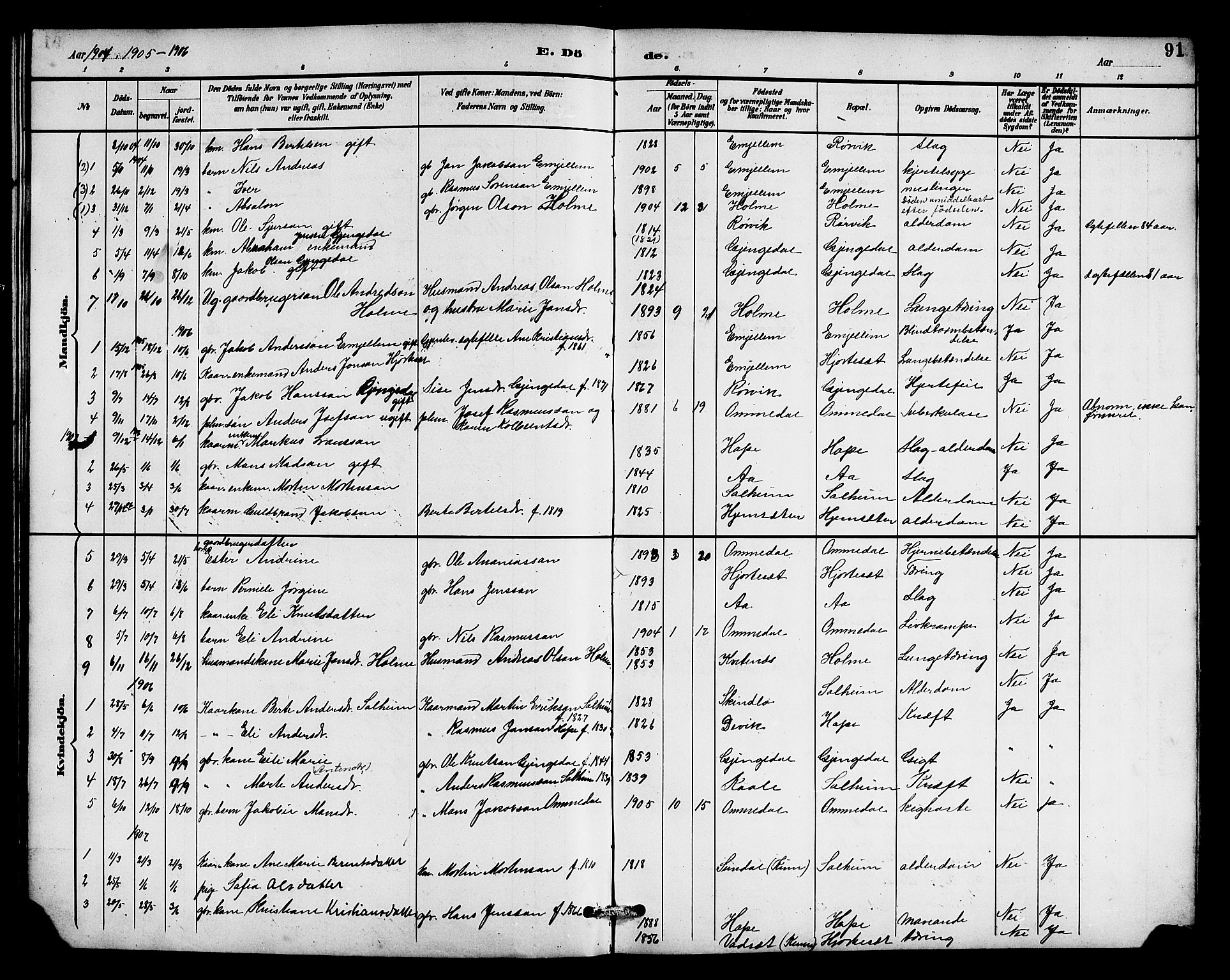 Gloppen sokneprestembete, AV/SAB-A-80101/H/Hab/Habe/L0001: Parish register (copy) no. E 1, 1891-1917, p. 91