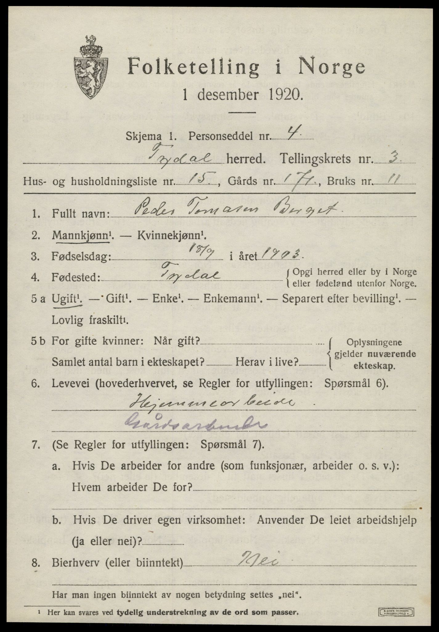 SAT, 1920 census for Tydal, 1920, p. 1045