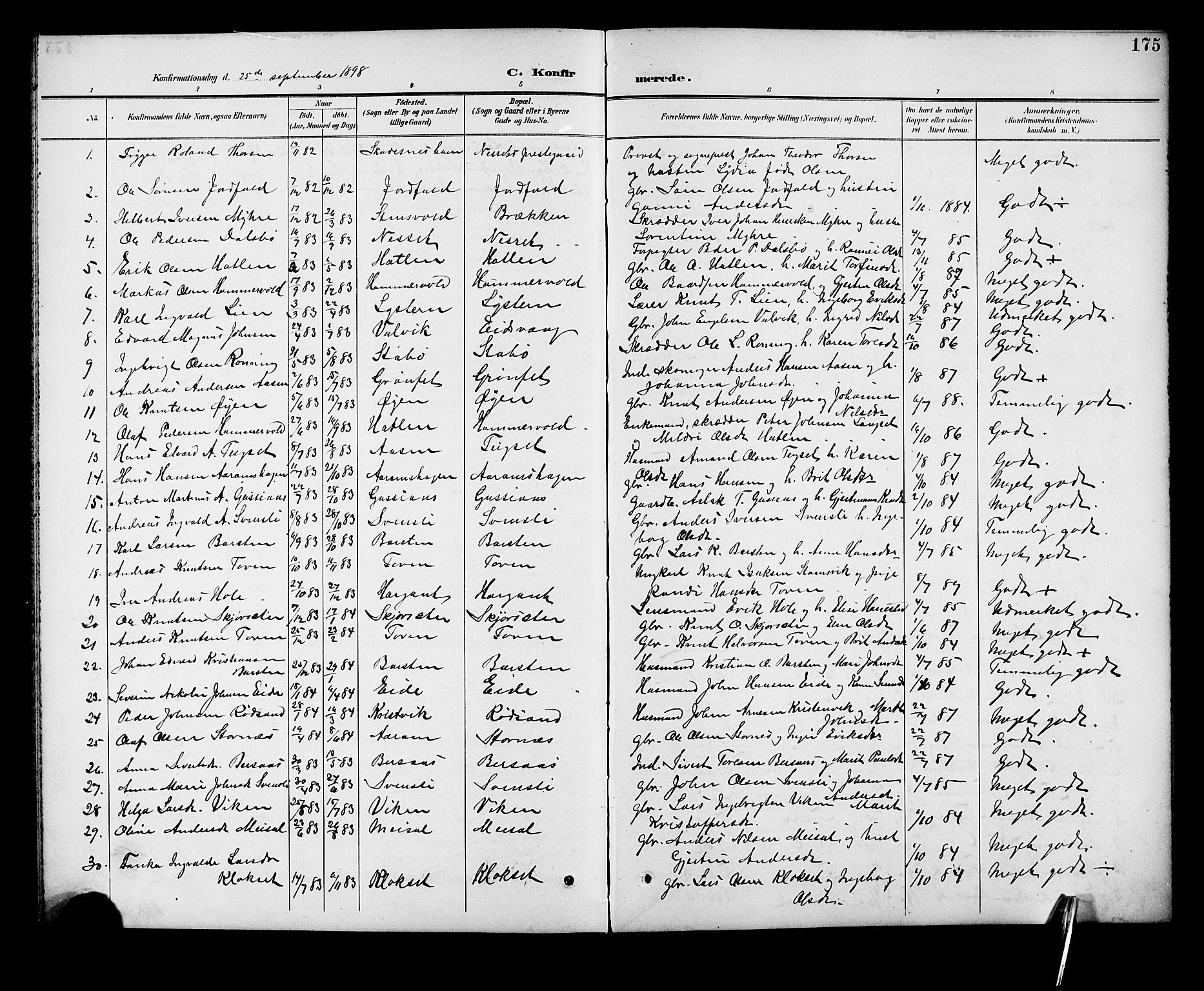 Ministerialprotokoller, klokkerbøker og fødselsregistre - Møre og Romsdal, SAT/A-1454/551/L0632: Parish register (copy) no. 551C04, 1894-1920, p. 175