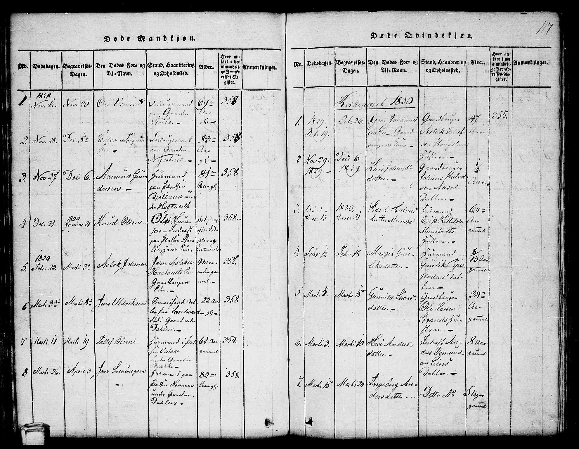 Kviteseid kirkebøker, SAKO/A-276/G/Gb/L0001: Parish register (copy) no. II 1, 1815-1842, p. 117