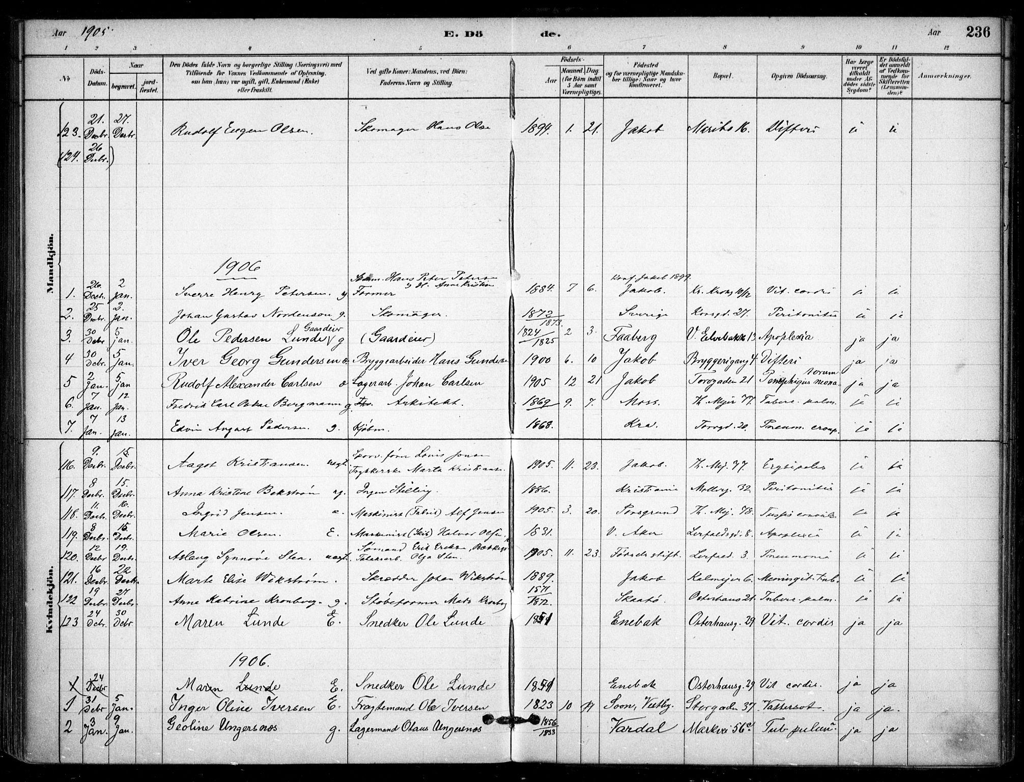 Jakob prestekontor Kirkebøker, SAO/A-10850/F/Fa/L0007: Parish register (official) no. 7, 1880-1905, p. 236