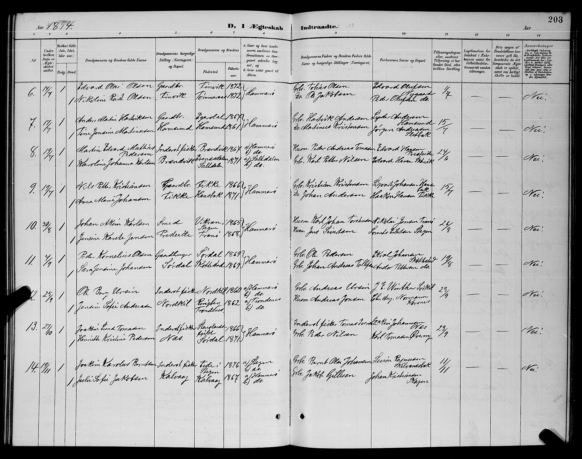 Ministerialprotokoller, klokkerbøker og fødselsregistre - Nordland, SAT/A-1459/859/L0859: Parish register (copy) no. 859C05, 1887-1898, p. 203