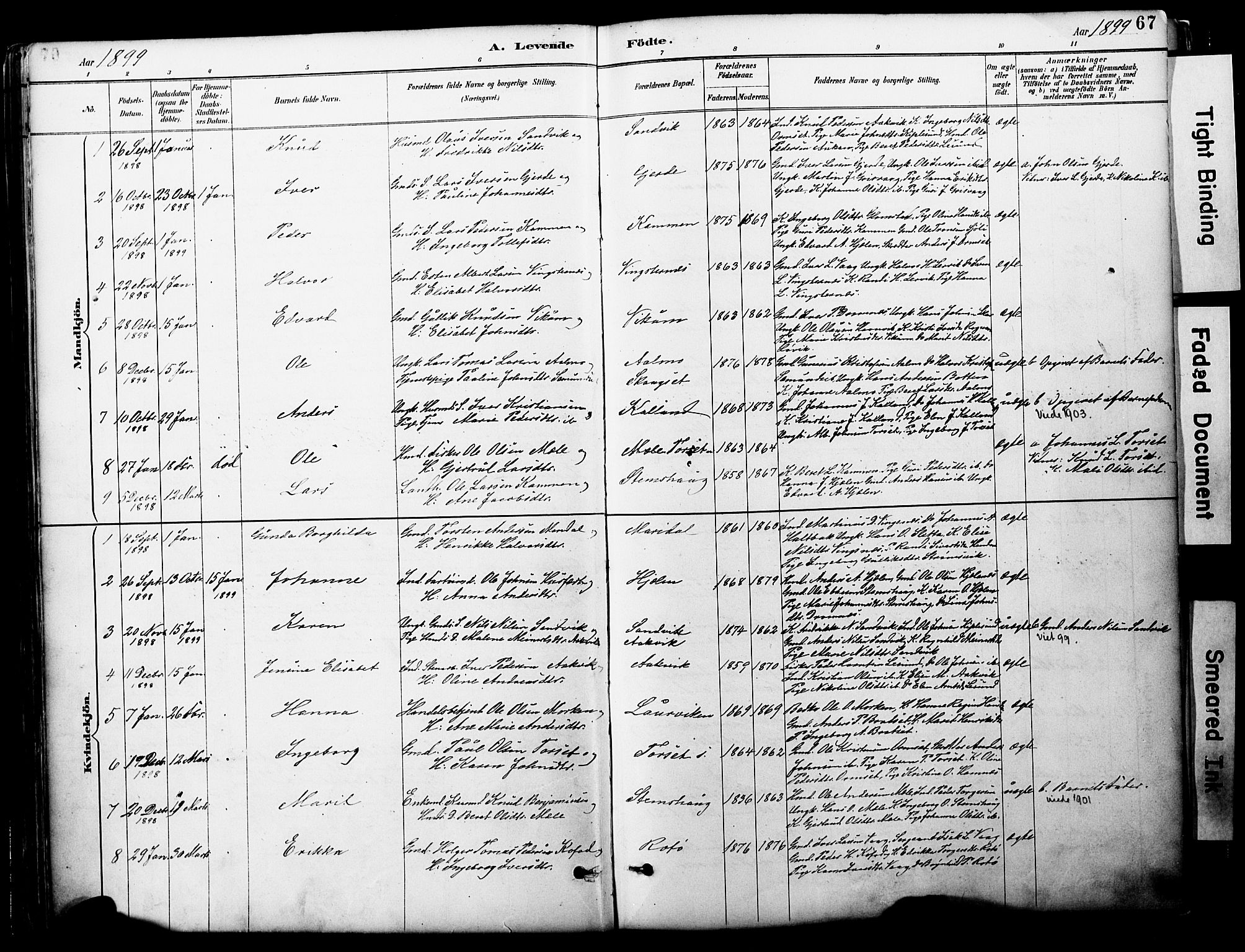 Ministerialprotokoller, klokkerbøker og fødselsregistre - Møre og Romsdal, AV/SAT-A-1454/578/L0907: Parish register (official) no. 578A06, 1887-1904, p. 67