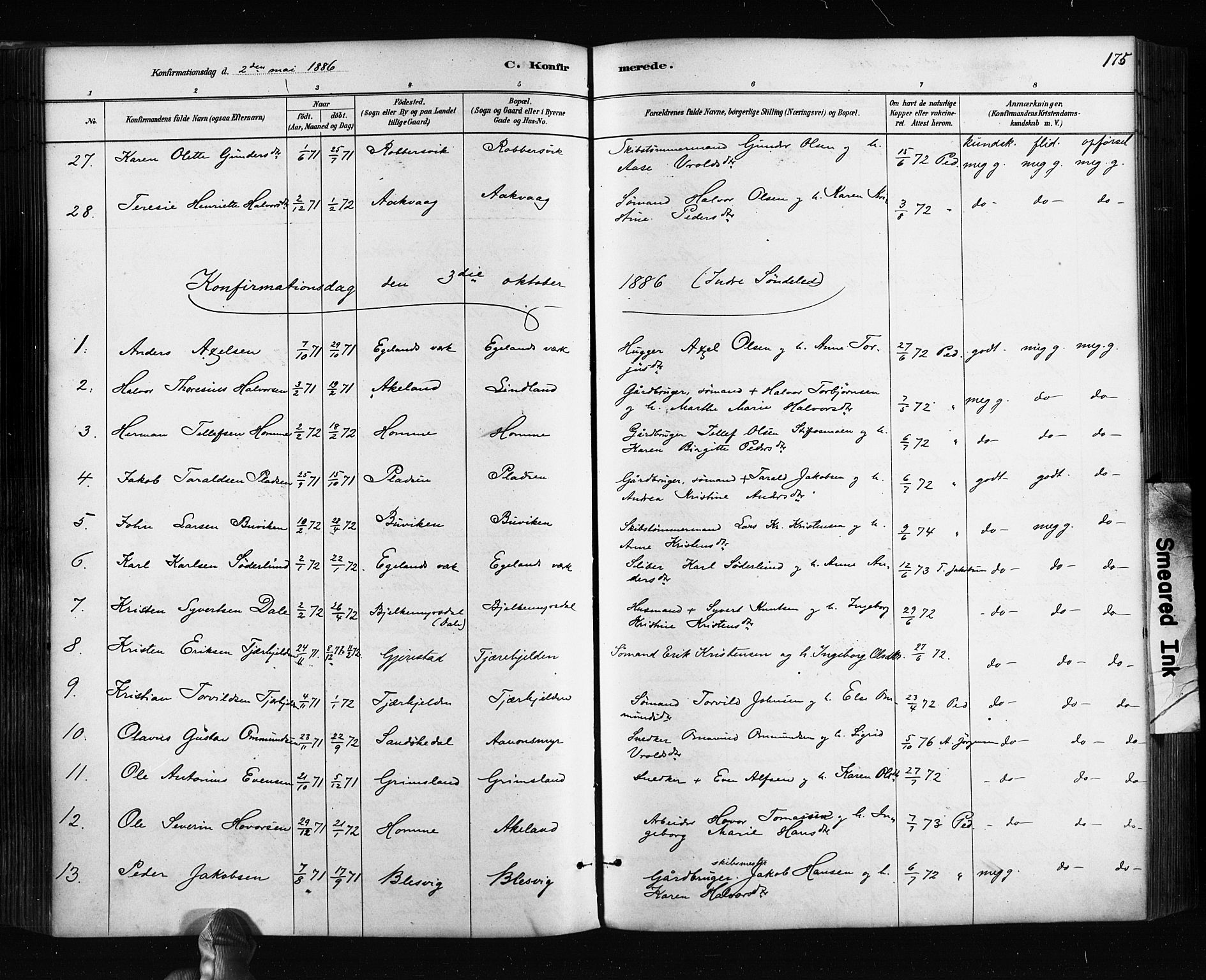 Søndeled sokneprestkontor, AV/SAK-1111-0038/F/Fa/L0004: Parish register (official) no. A 4, 1880-1889, p. 175