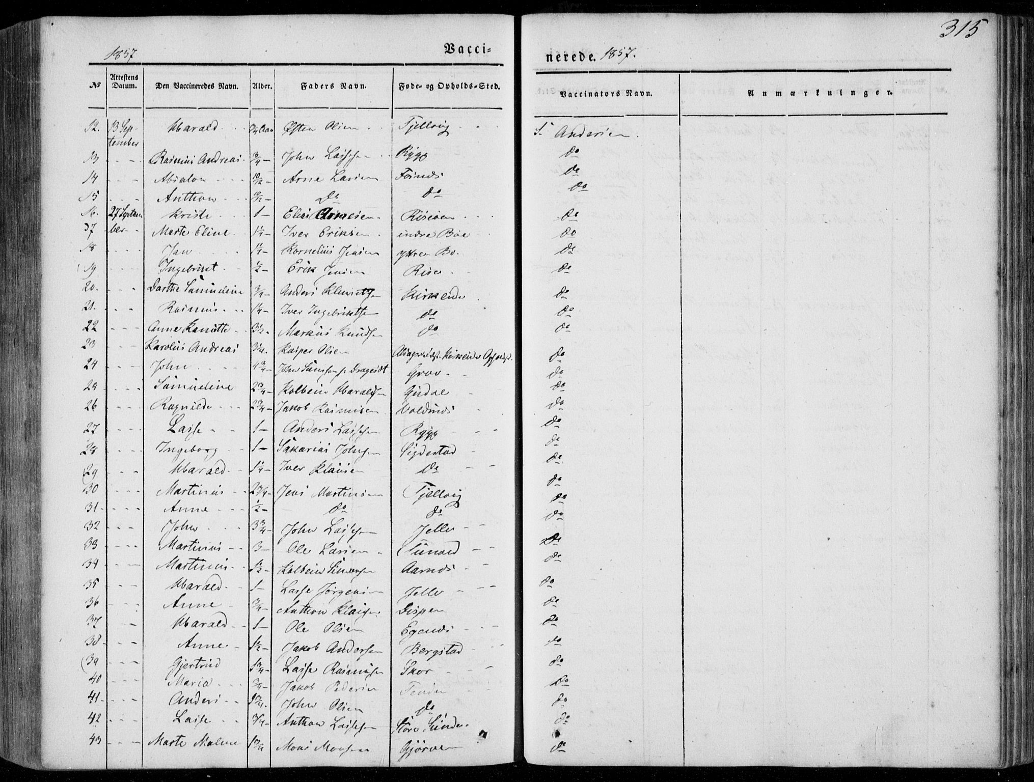 Stryn Sokneprestembete, AV/SAB-A-82501: Parish register (official) no. A 2, 1844-1861, p. 315