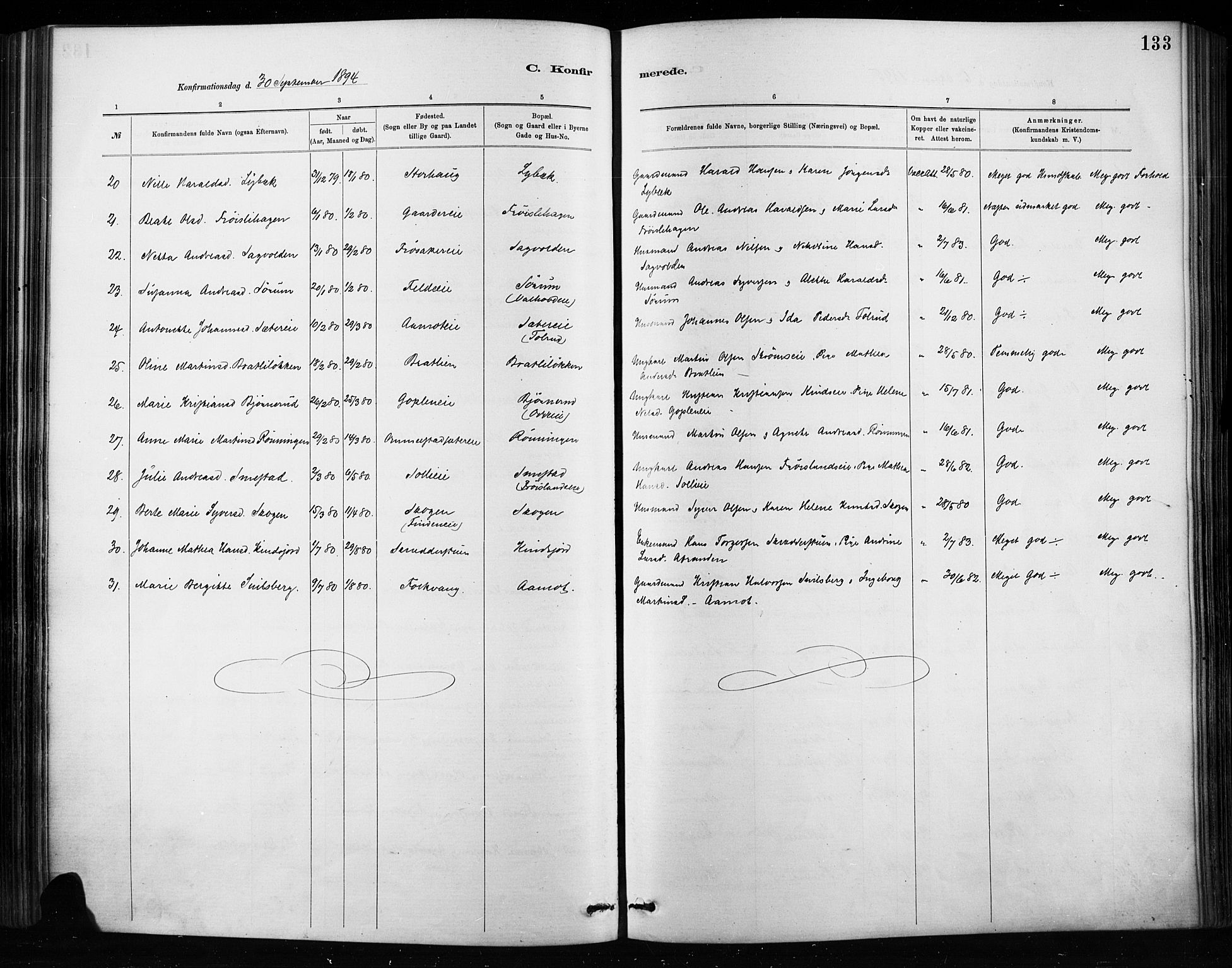 Nordre Land prestekontor, SAH/PREST-124/H/Ha/Haa/L0004: Parish register (official) no. 4, 1882-1896, p. 133