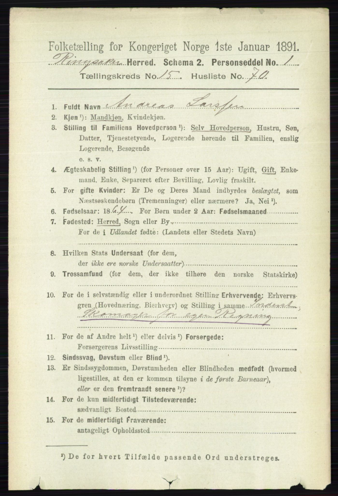 RA, 1891 census for 0412 Ringsaker, 1891, p. 8913