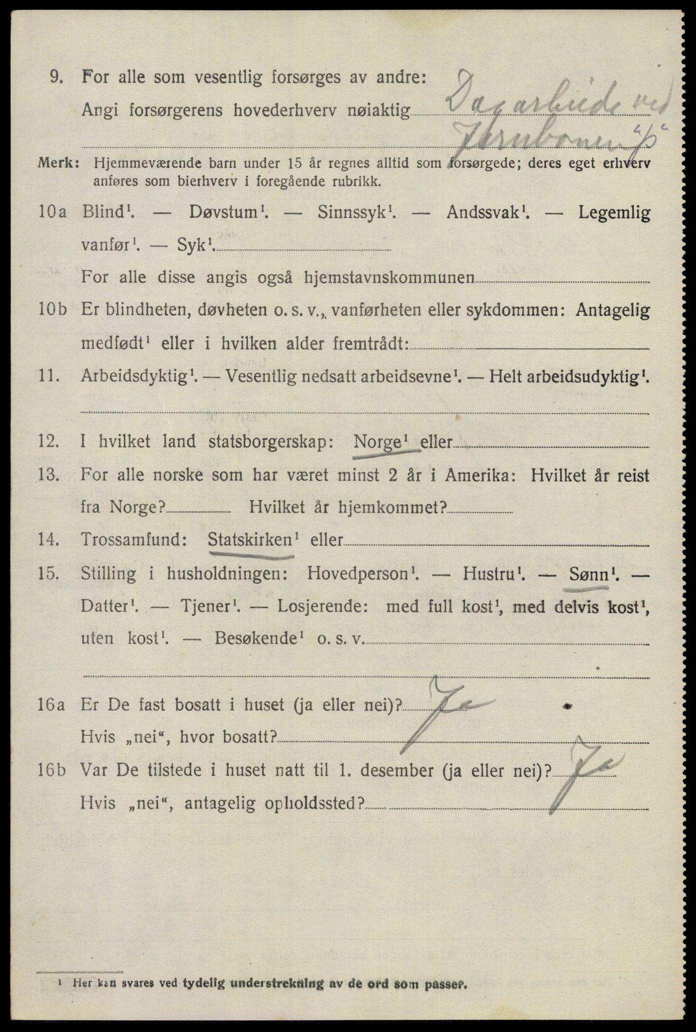 SAO, 1920 census for Nes, 1920, p. 17755