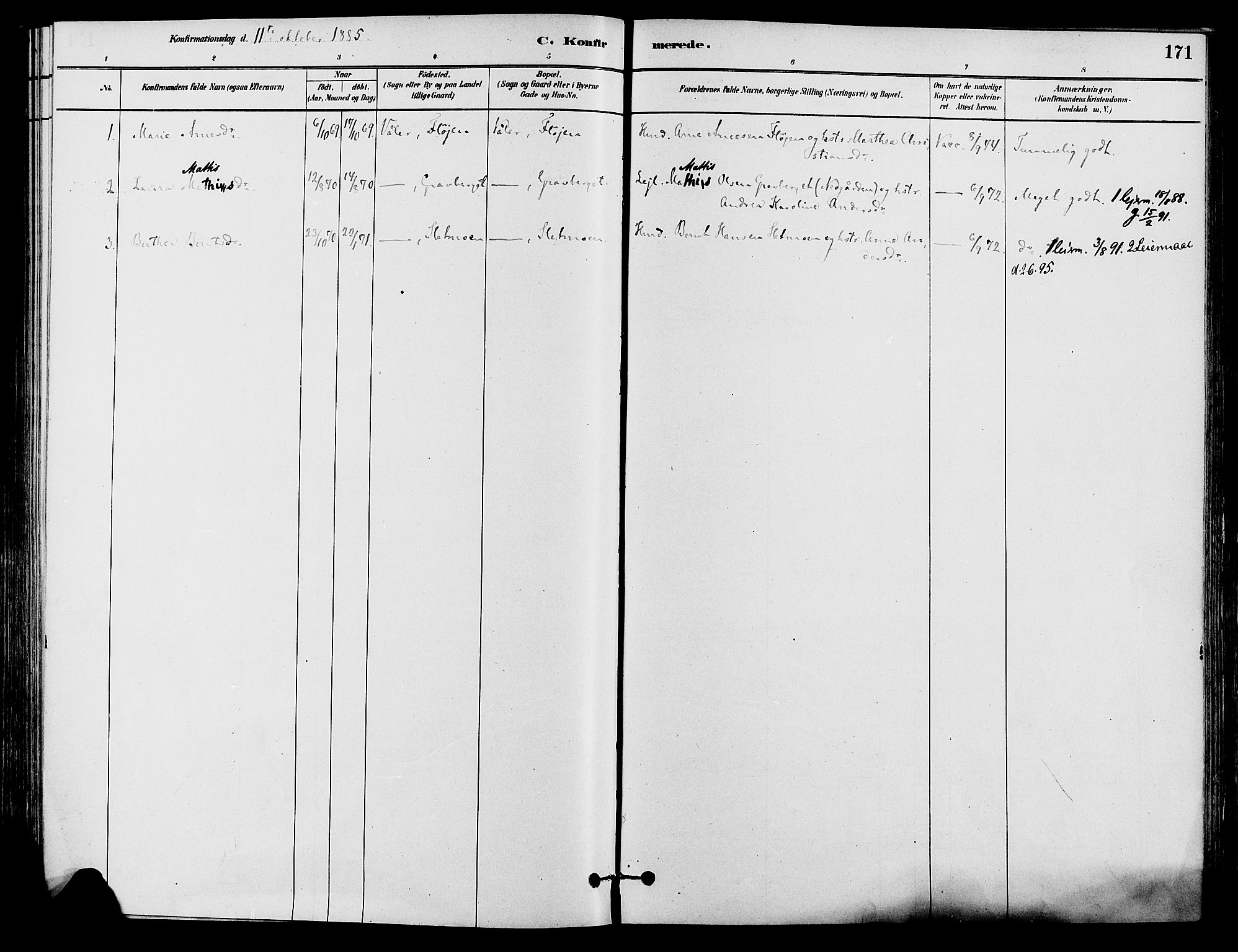 Våler prestekontor, Hedmark, AV/SAH-PREST-040/H/Ha/Haa/L0002: Parish register (official) no. 3, 1879-1911, p. 171