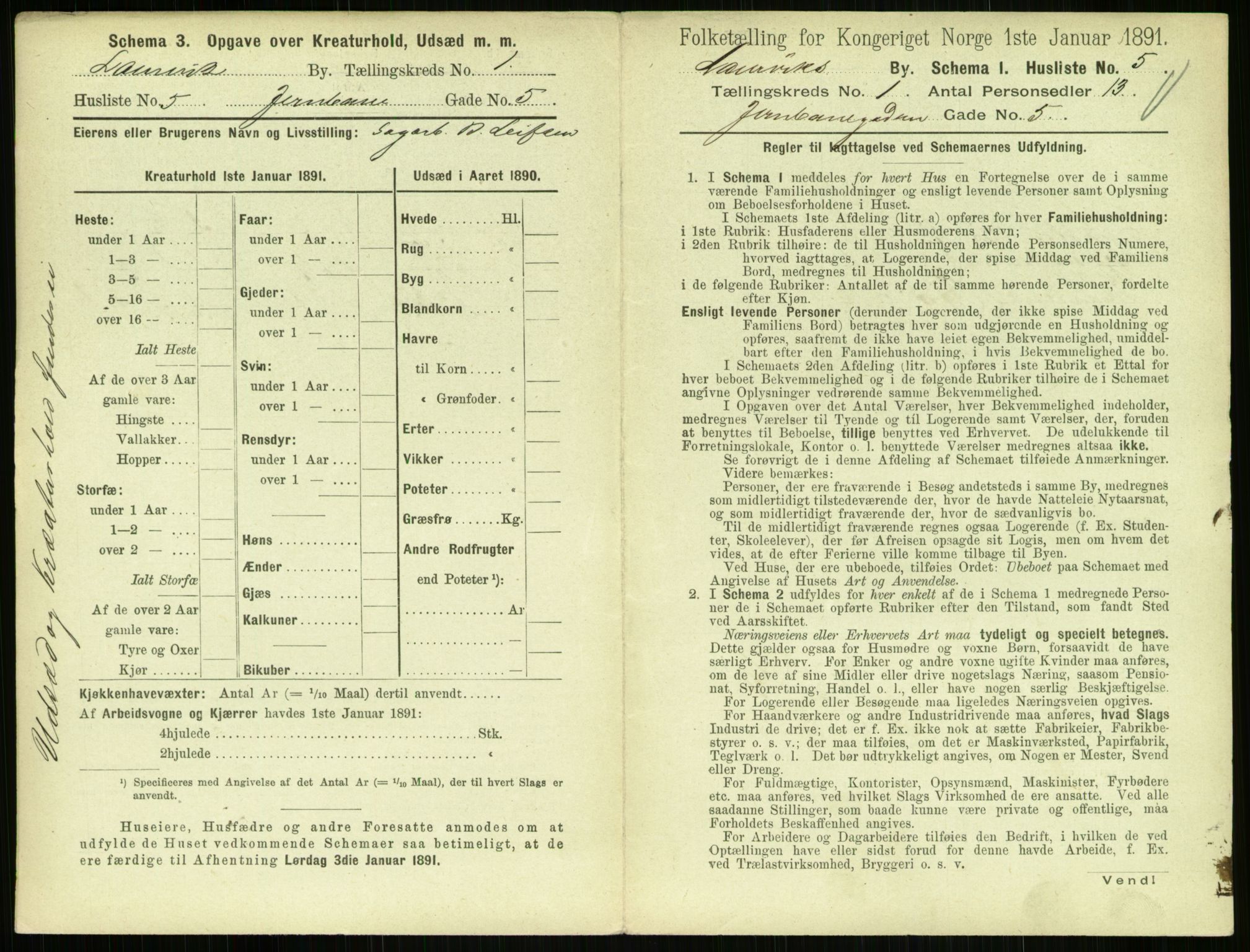 RA, 1891 census for 0707 Larvik, 1891, p. 53