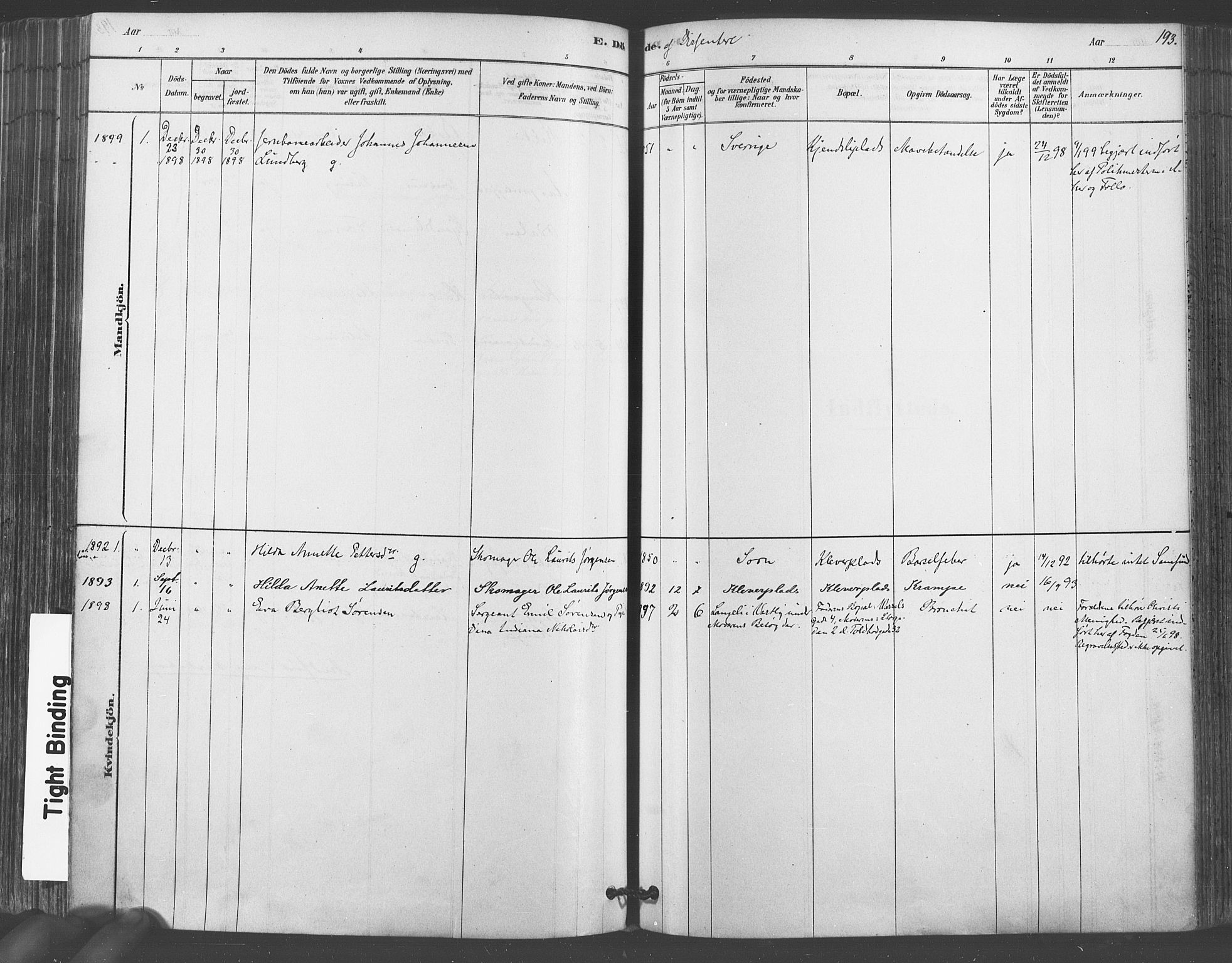 Vestby prestekontor Kirkebøker, SAO/A-10893/F/Fa/L0009: Parish register (official) no. I 9, 1878-1900, p. 193