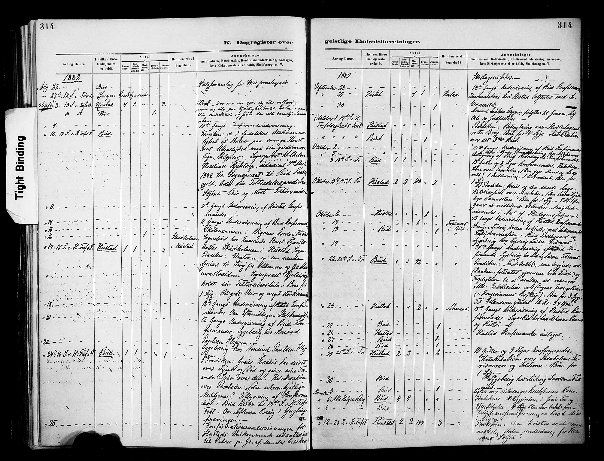 Ministerialprotokoller, klokkerbøker og fødselsregistre - Møre og Romsdal, AV/SAT-A-1454/566/L0769: Parish register (official) no. 566A08, 1881-1903, p. 314