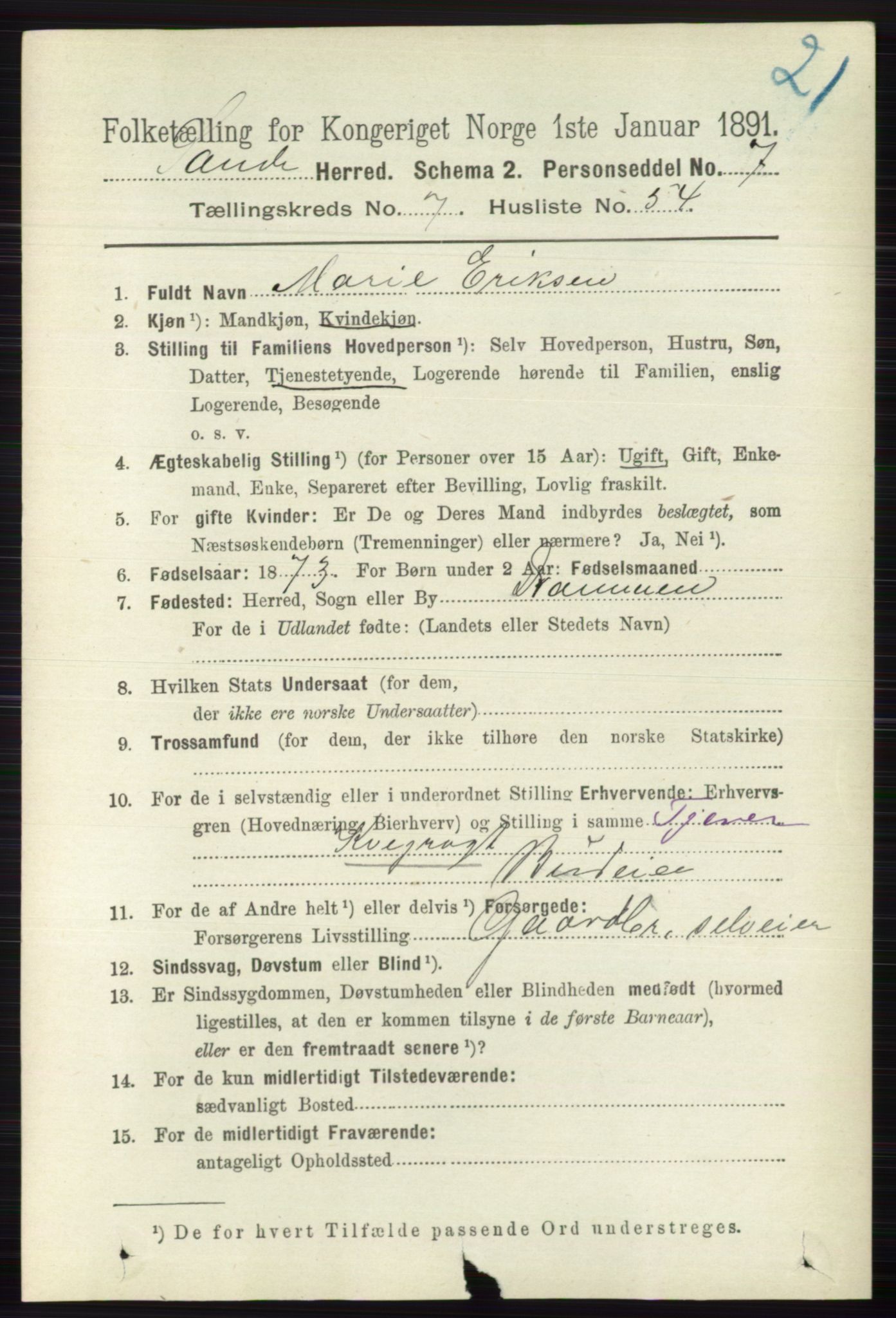 RA, 1891 census for 0713 Sande, 1891, p. 3460