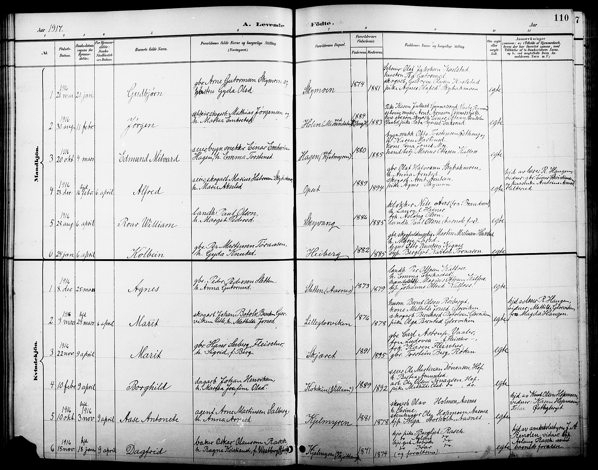 Åsnes prestekontor, AV/SAH-PREST-042/H/Ha/Hab/L0005: Parish register (copy) no. 5, 1895-1920, p. 110