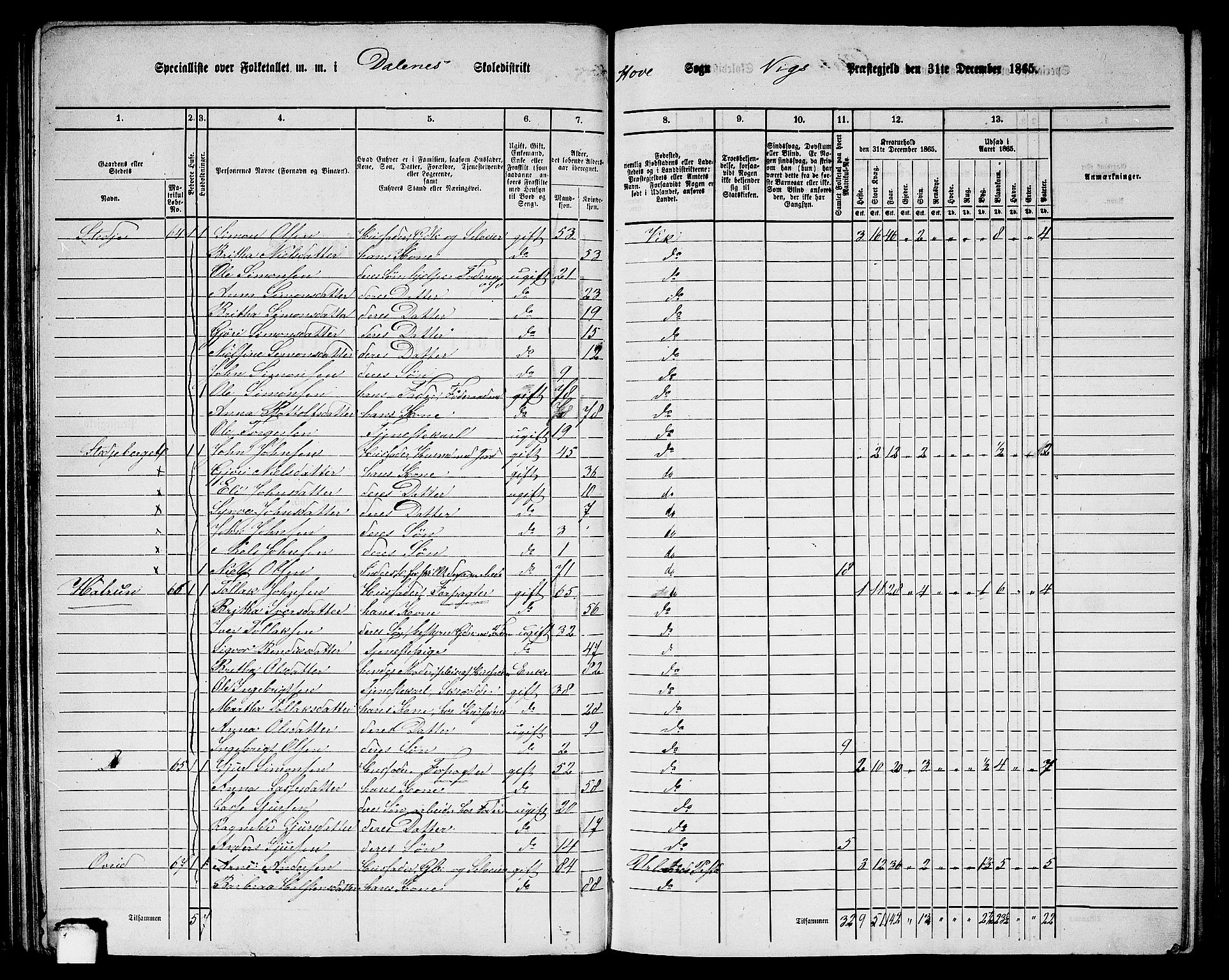 RA, 1865 census for Vik, 1865, p. 71