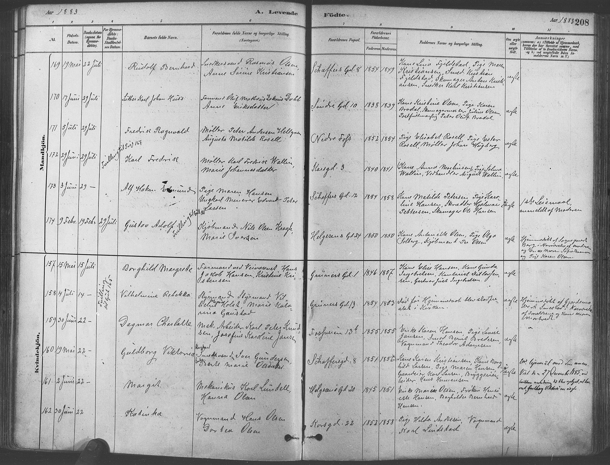 Paulus prestekontor Kirkebøker, AV/SAO-A-10871/F/Fa/L0003: Parish register (official) no. 3, 1879-1887, p. 208