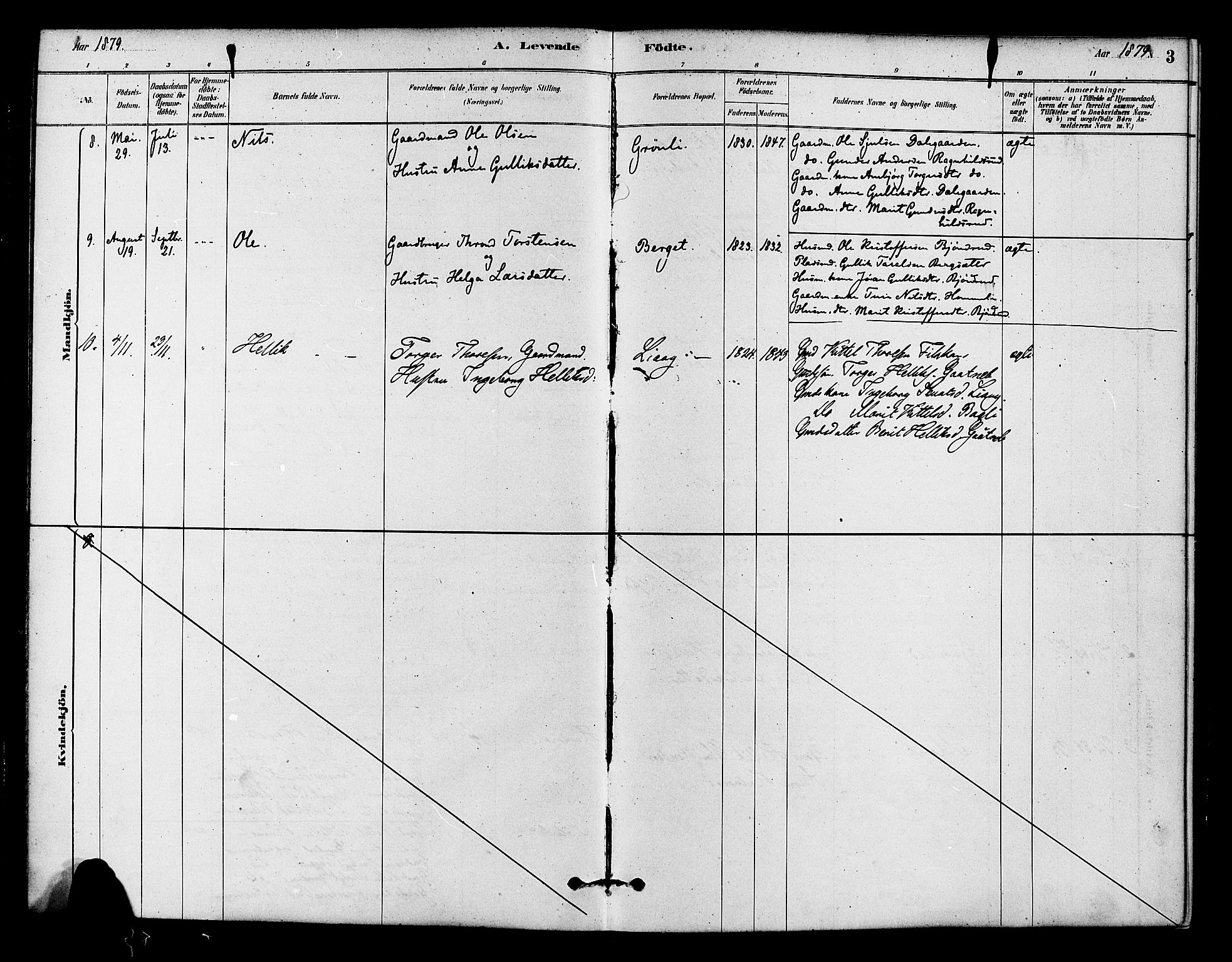 Flesberg kirkebøker, AV/SAKO-A-18/F/Fc/L0001: Parish register (official) no. III 1, 1879-1905, p. 3