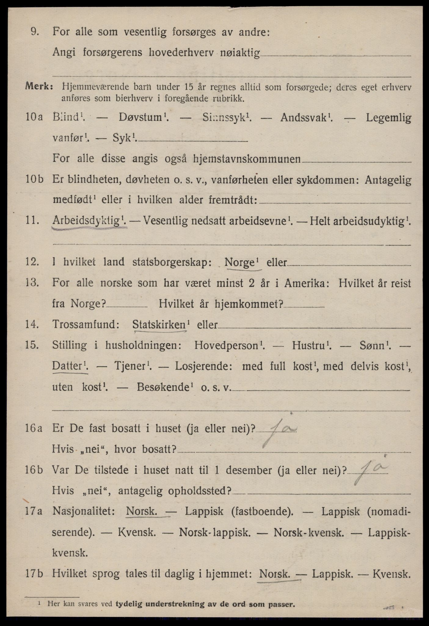 SAT, 1920 census for Strinda, 1920, p. 6013