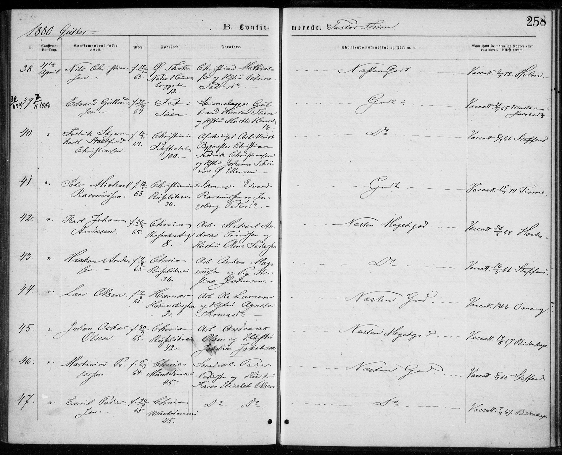 Trefoldighet prestekontor Kirkebøker, AV/SAO-A-10882/F/Fb/L0002: Parish register (official) no. II 2, 1871-1880, p. 258