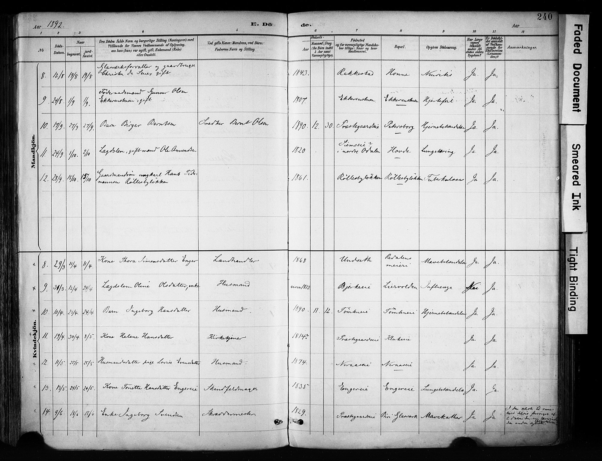 Biri prestekontor, SAH/PREST-096/H/Ha/Haa/L0009: Parish register (official) no. 9, 1887-1900, p. 240