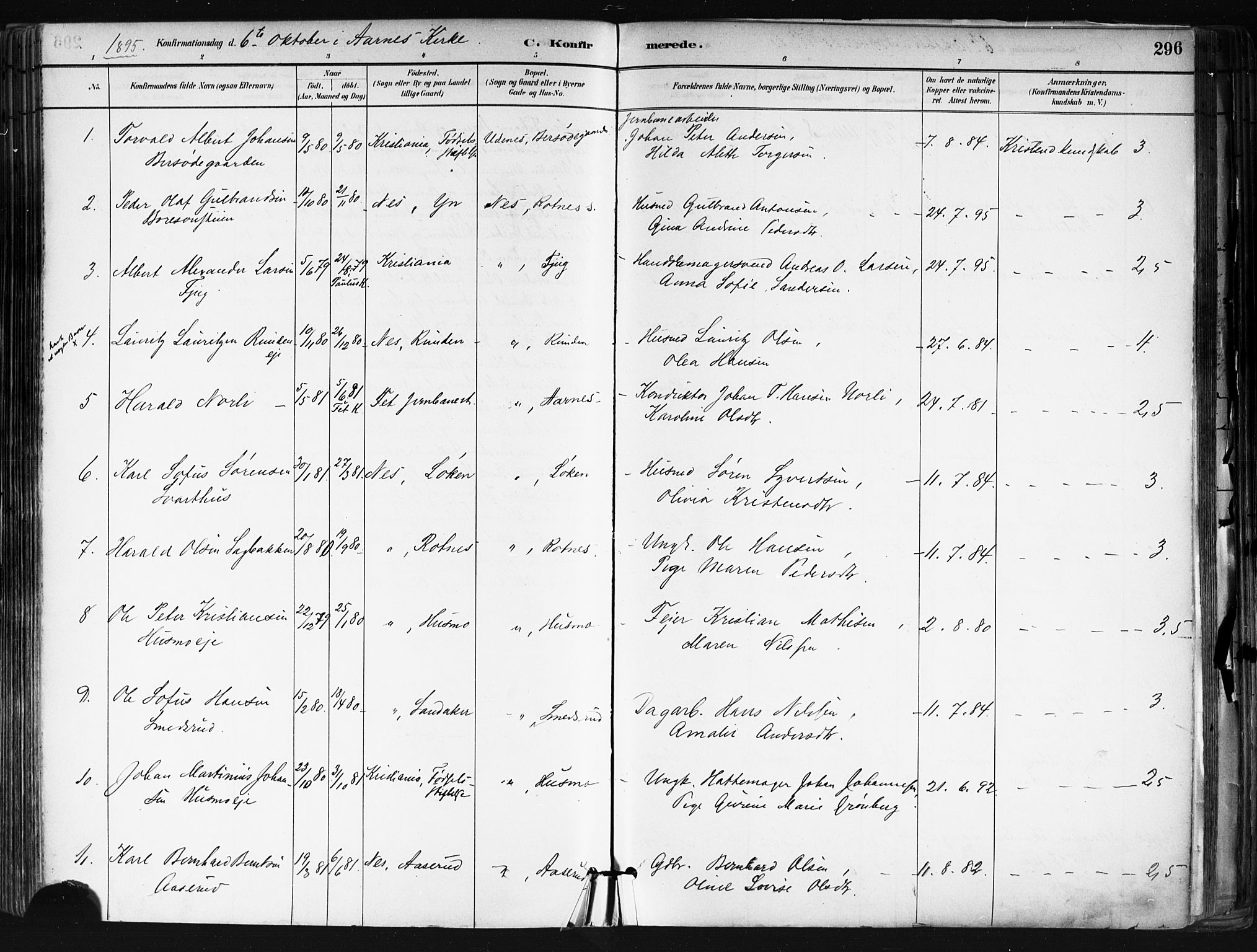 Nes prestekontor Kirkebøker, AV/SAO-A-10410/F/Fa/L0010: Parish register (official) no. I 10, 1883-1898, p. 296