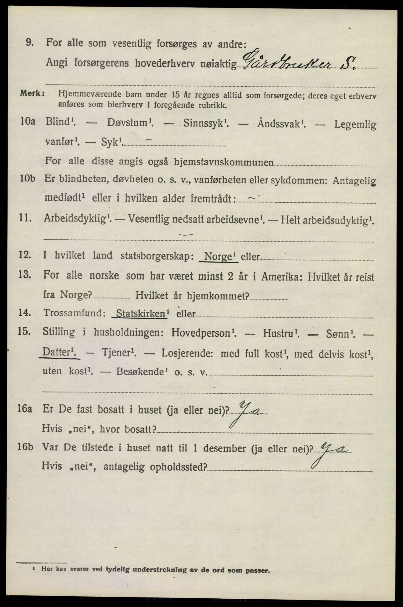 SAKO, 1920 census for Brunlanes, 1920, p. 10816