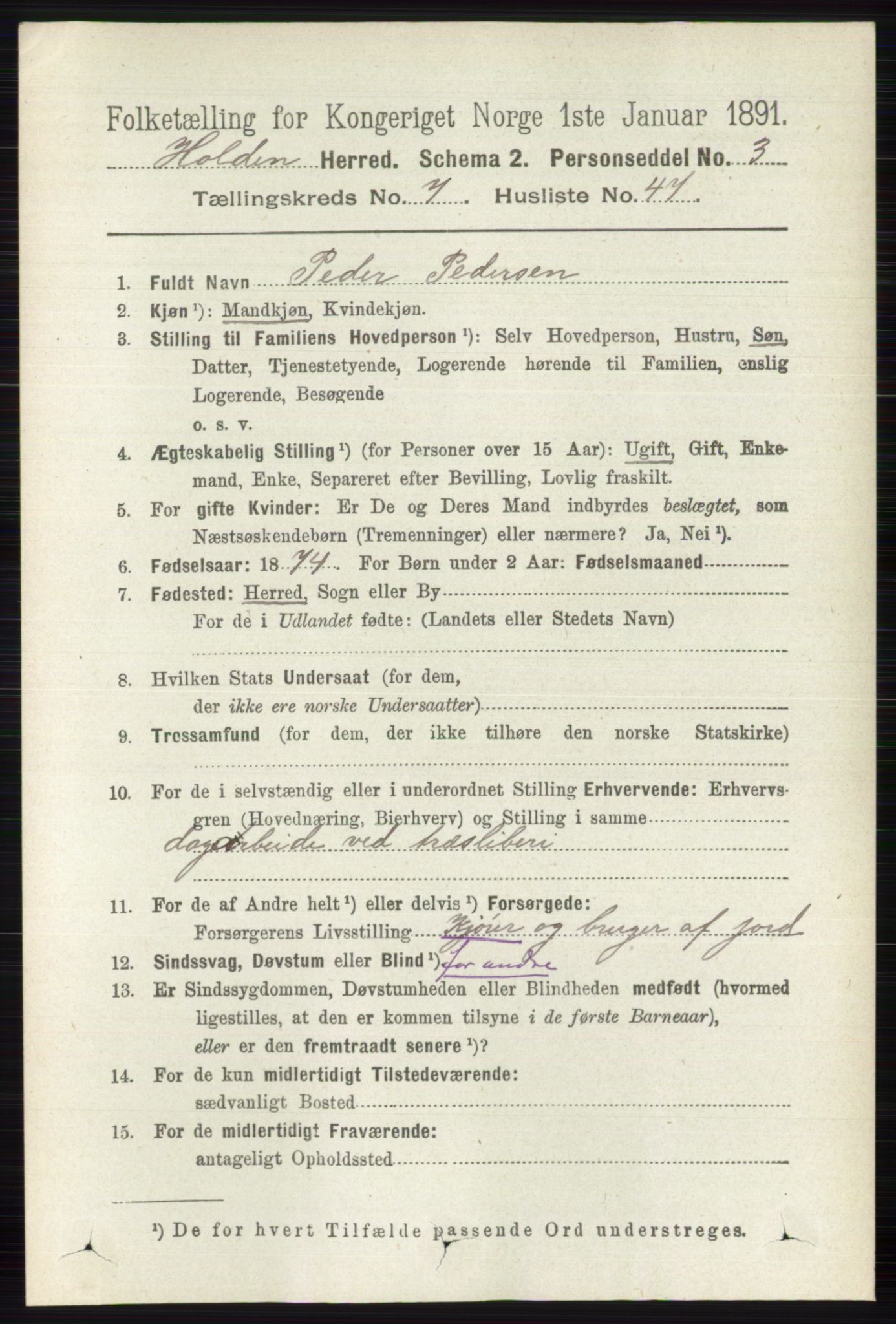 RA, 1891 census for 0819 Holla, 1891, p. 3556