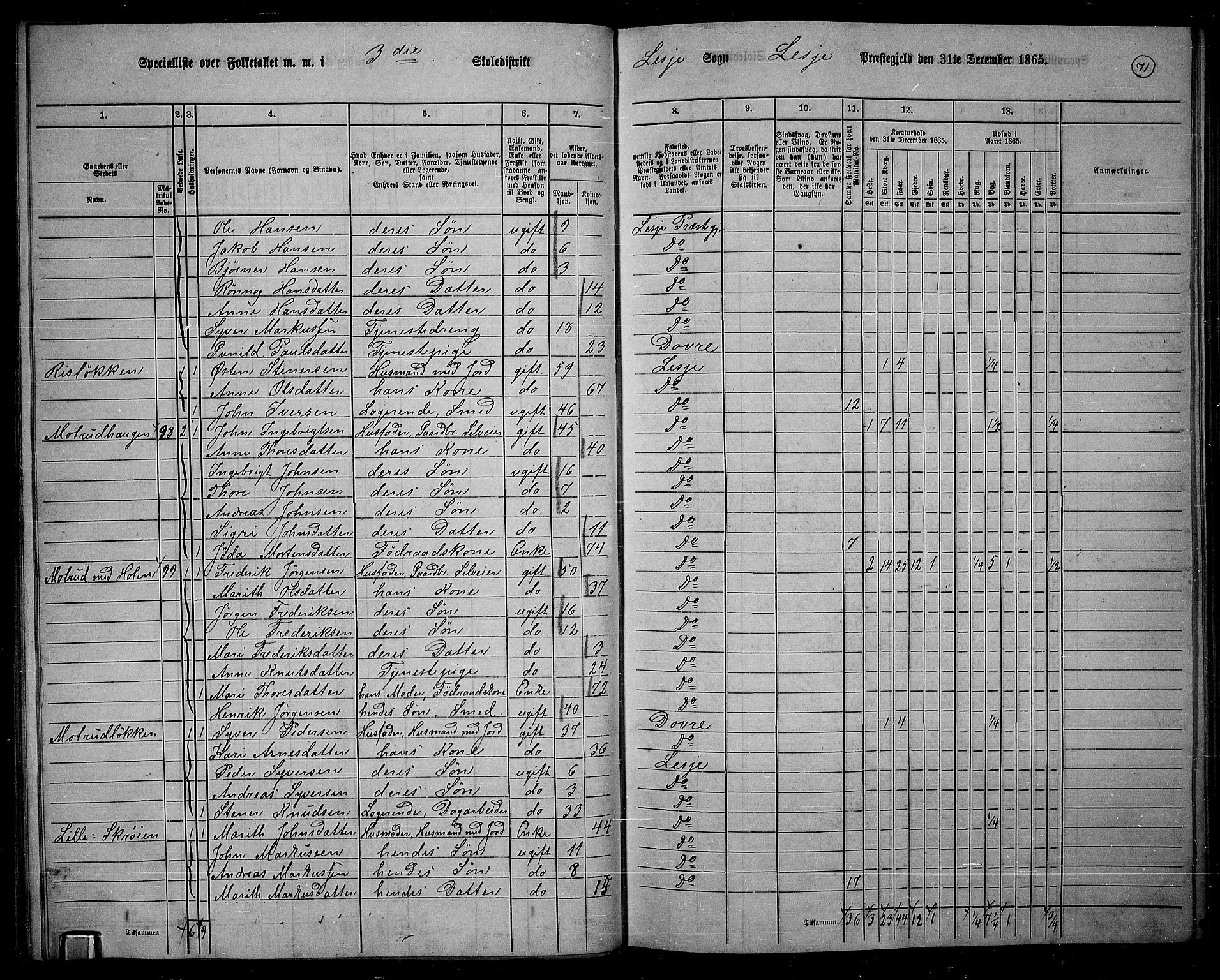 RA, 1865 census for Lesja, 1865, p. 61