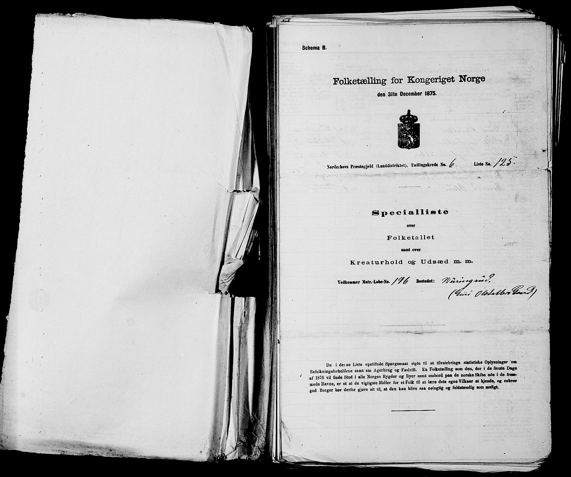 SAKO, 1875 census for 0613L Norderhov/Norderhov, Haug og Lunder, 1875, p. 967