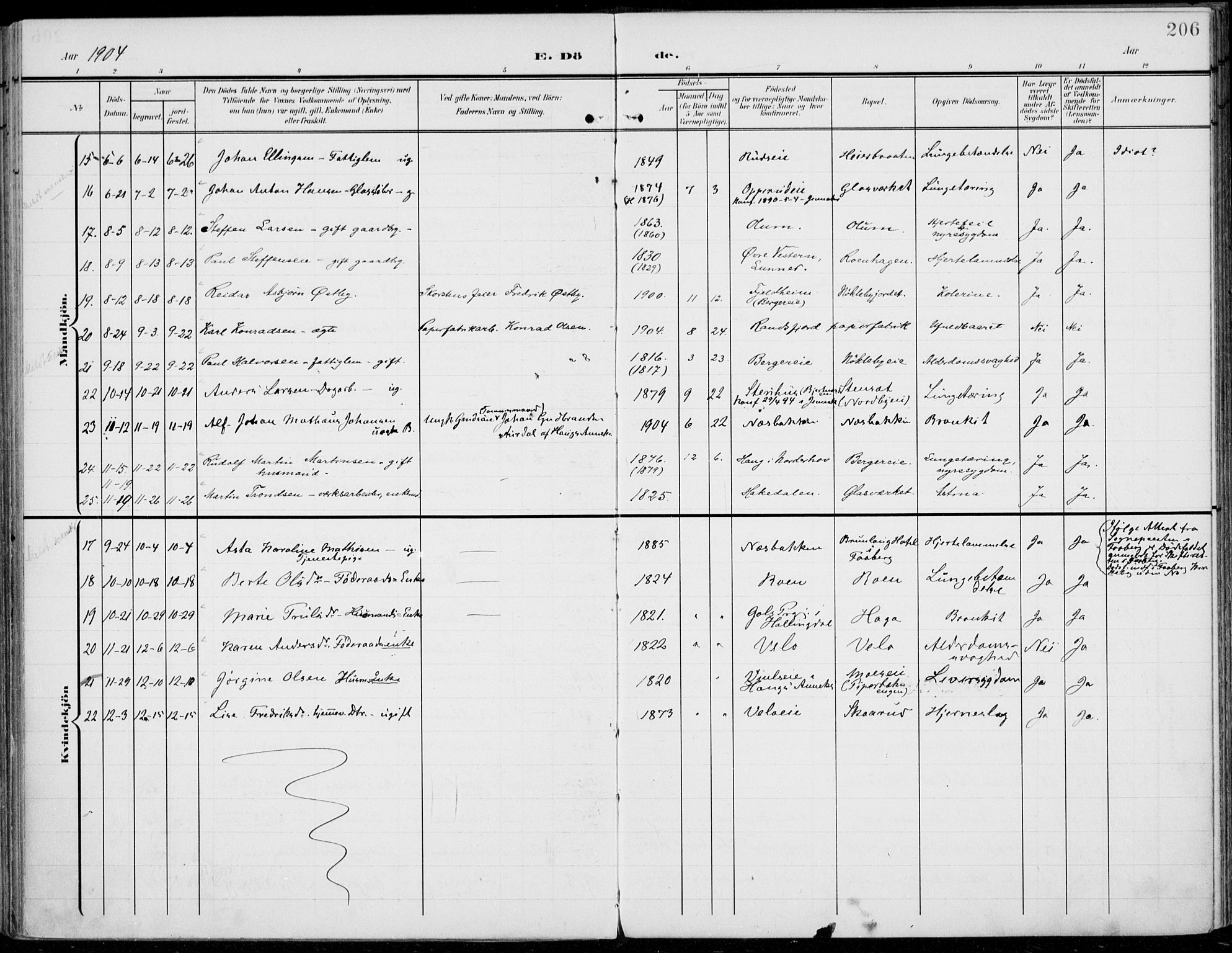 Jevnaker prestekontor, SAH/PREST-116/H/Ha/Haa/L0011: Parish register (official) no. 11, 1902-1913, p. 206