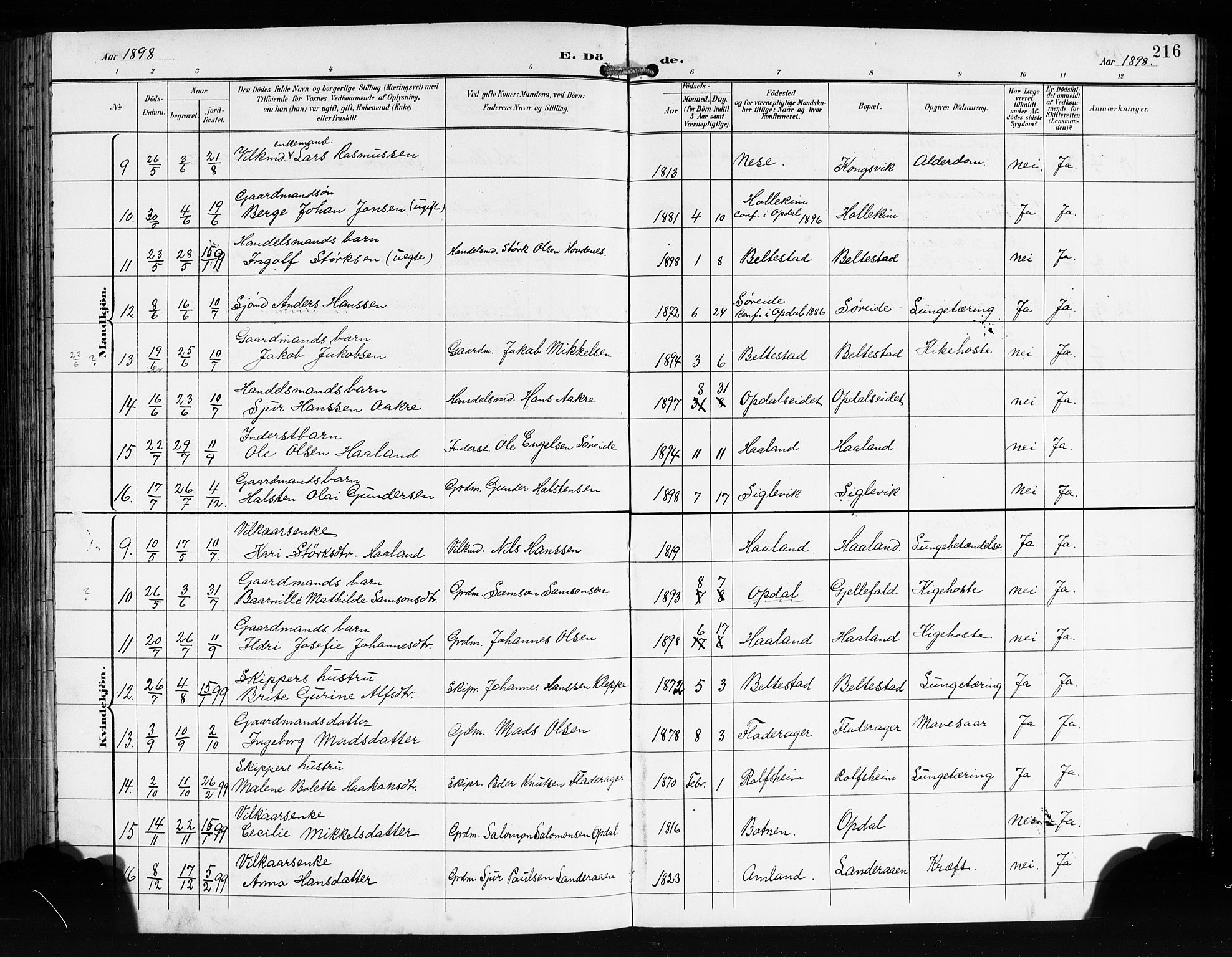 Tysnes sokneprestembete, AV/SAB-A-78601/H/Hab: Parish register (copy) no. E 3, 1897-1913, p. 216
