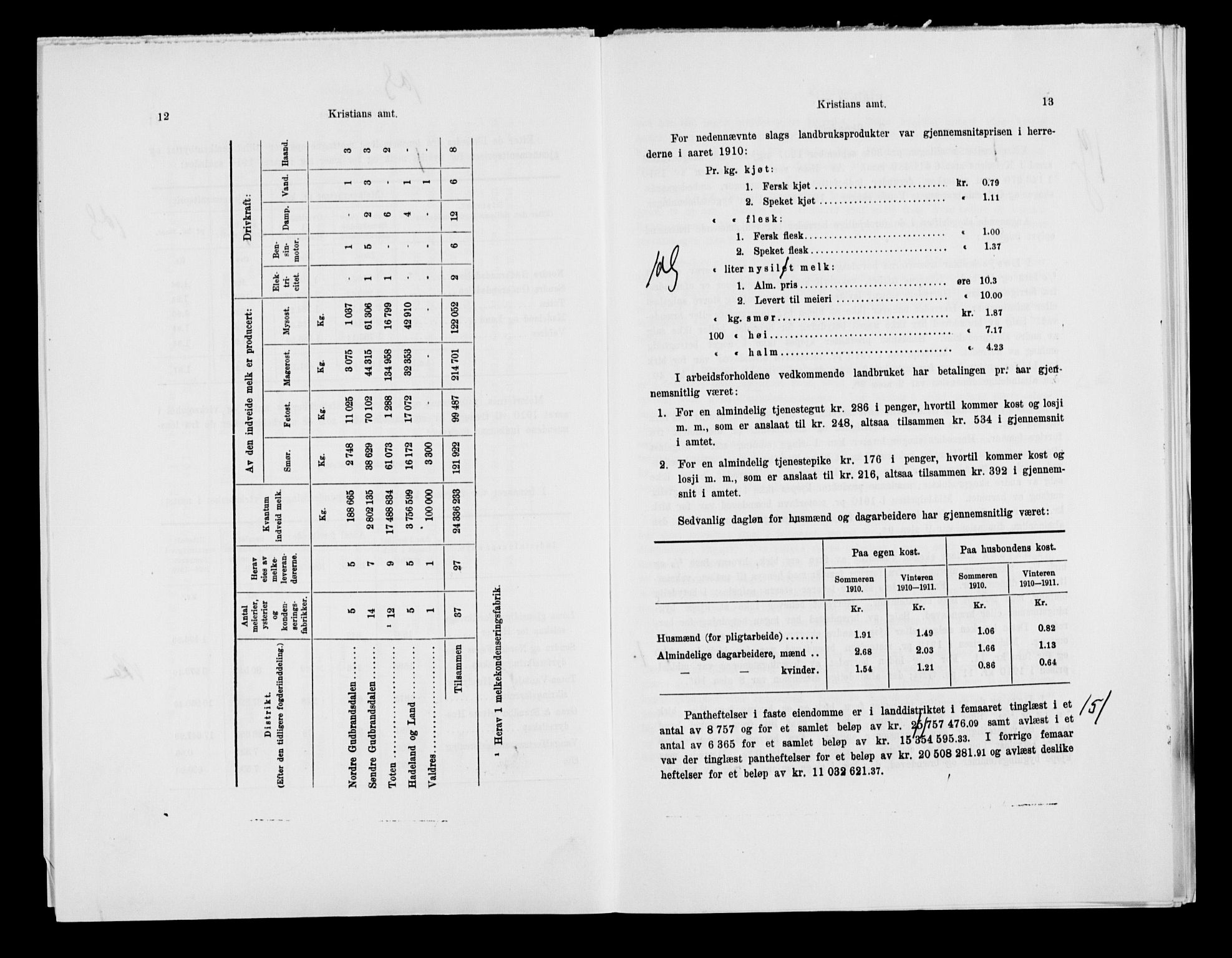 Statistisk sentralbyrå, Næringsøkonomiske emner, Generelt - Amtmennenes femårsberetninger, AV/RA-S-2233/F/Fa/L0116: --, 1906-1915, p. 211