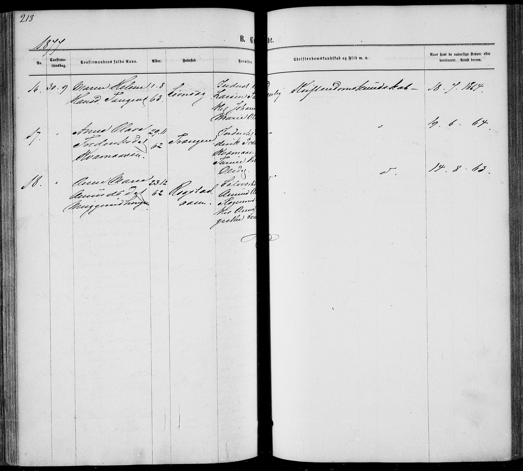 Sandsvær kirkebøker, AV/SAKO-A-244/F/Fa/L0007: Parish register (official) no. I 7, 1869-1877, p. 213
