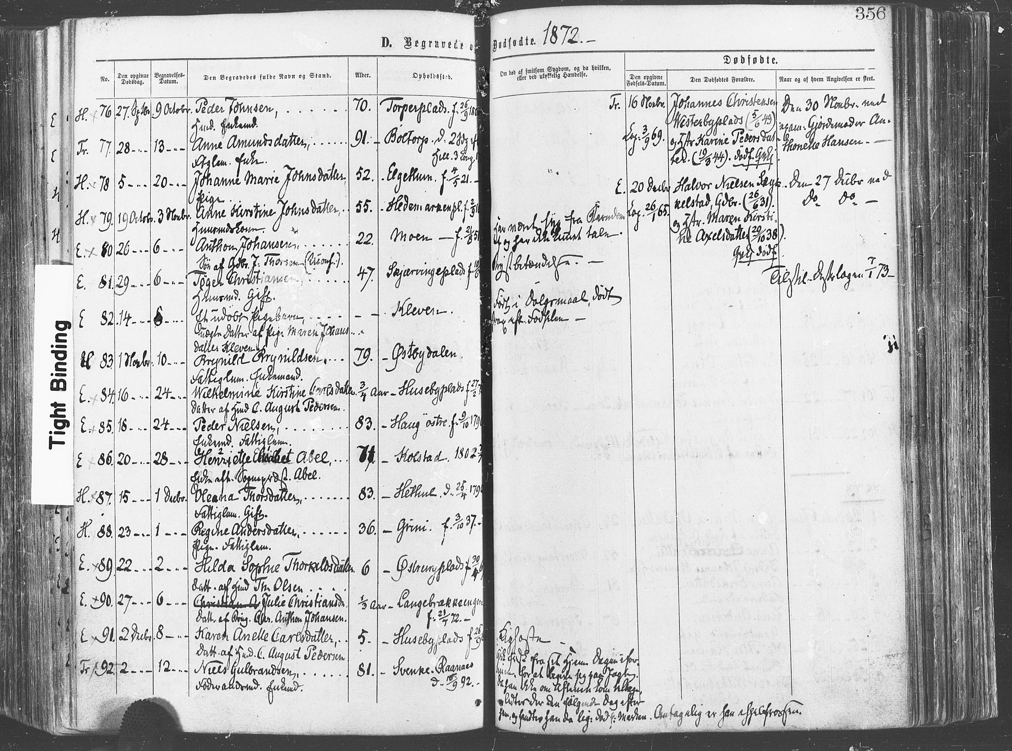 Eidsberg prestekontor Kirkebøker, SAO/A-10905/F/Fa/L0011: Parish register (official) no. I 11, 1867-1878, p. 356