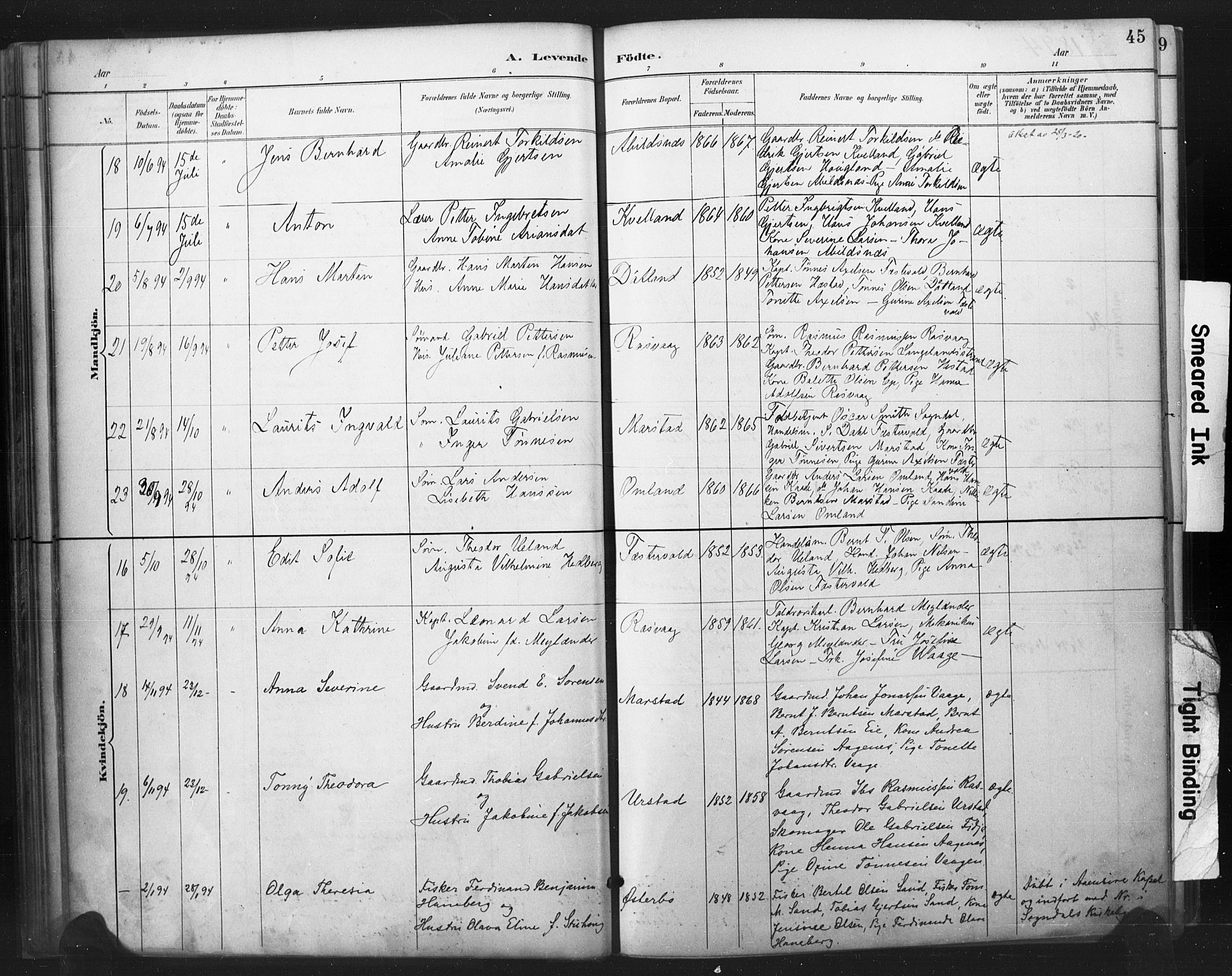 Flekkefjord sokneprestkontor, AV/SAK-1111-0012/F/Fa/Fab/L0006: Parish register (official) no. A 6, 1886-1901, p. 45