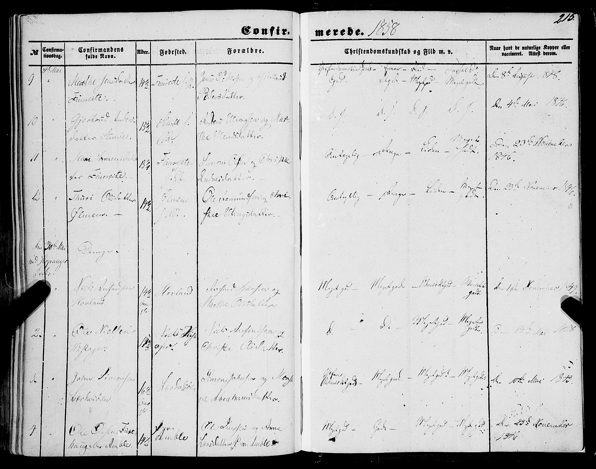 Sogndal sokneprestembete, AV/SAB-A-81301/H/Haa/Haaa/L0012I: Parish register (official) no. A 12I, 1847-1859, p. 215