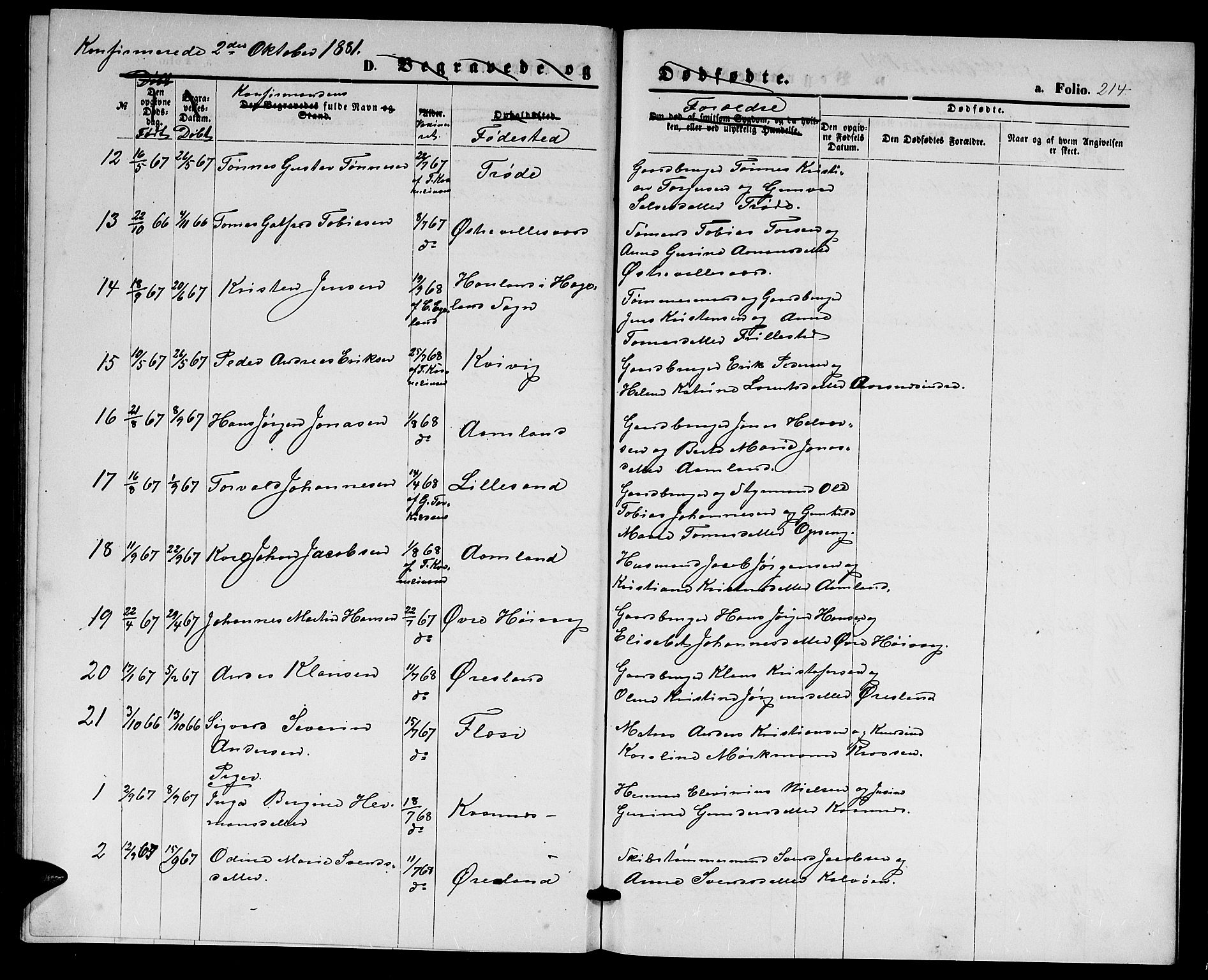 Høvåg sokneprestkontor, AV/SAK-1111-0025/F/Fb/L0003: Parish register (copy) no. B 3, 1870-1882, p. 214