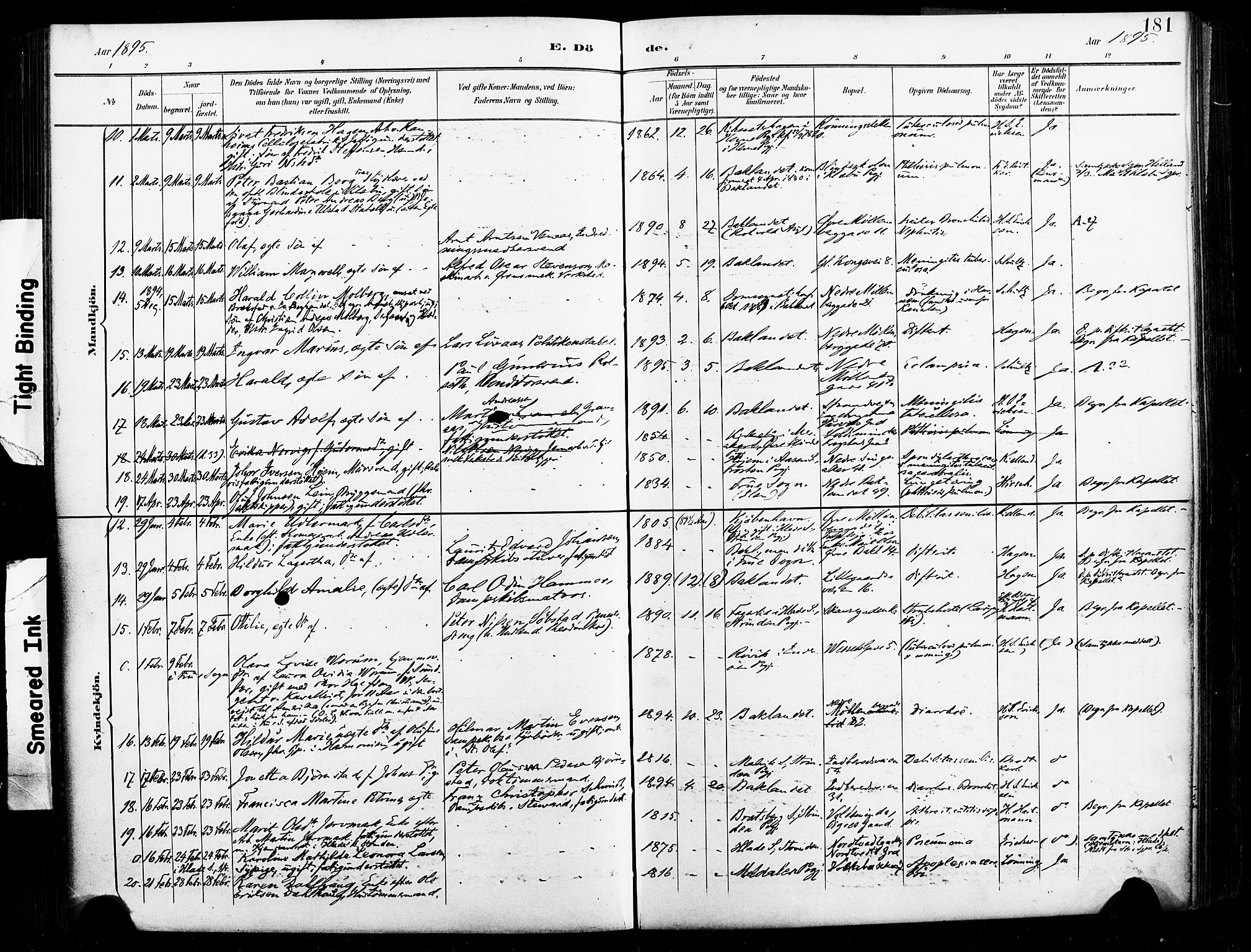 Ministerialprotokoller, klokkerbøker og fødselsregistre - Sør-Trøndelag, SAT/A-1456/604/L0198: Parish register (official) no. 604A19, 1893-1900, p. 181