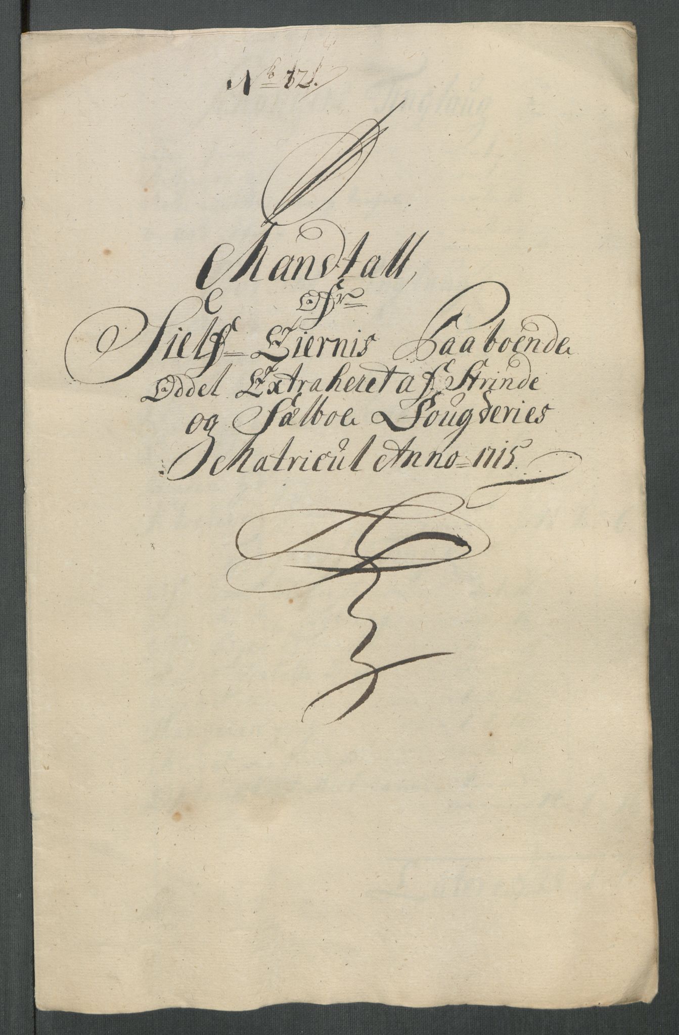 Rentekammeret inntil 1814, Reviderte regnskaper, Fogderegnskap, RA/EA-4092/R61/L4115: Fogderegnskap Strinda og Selbu, 1715-1716, p. 214