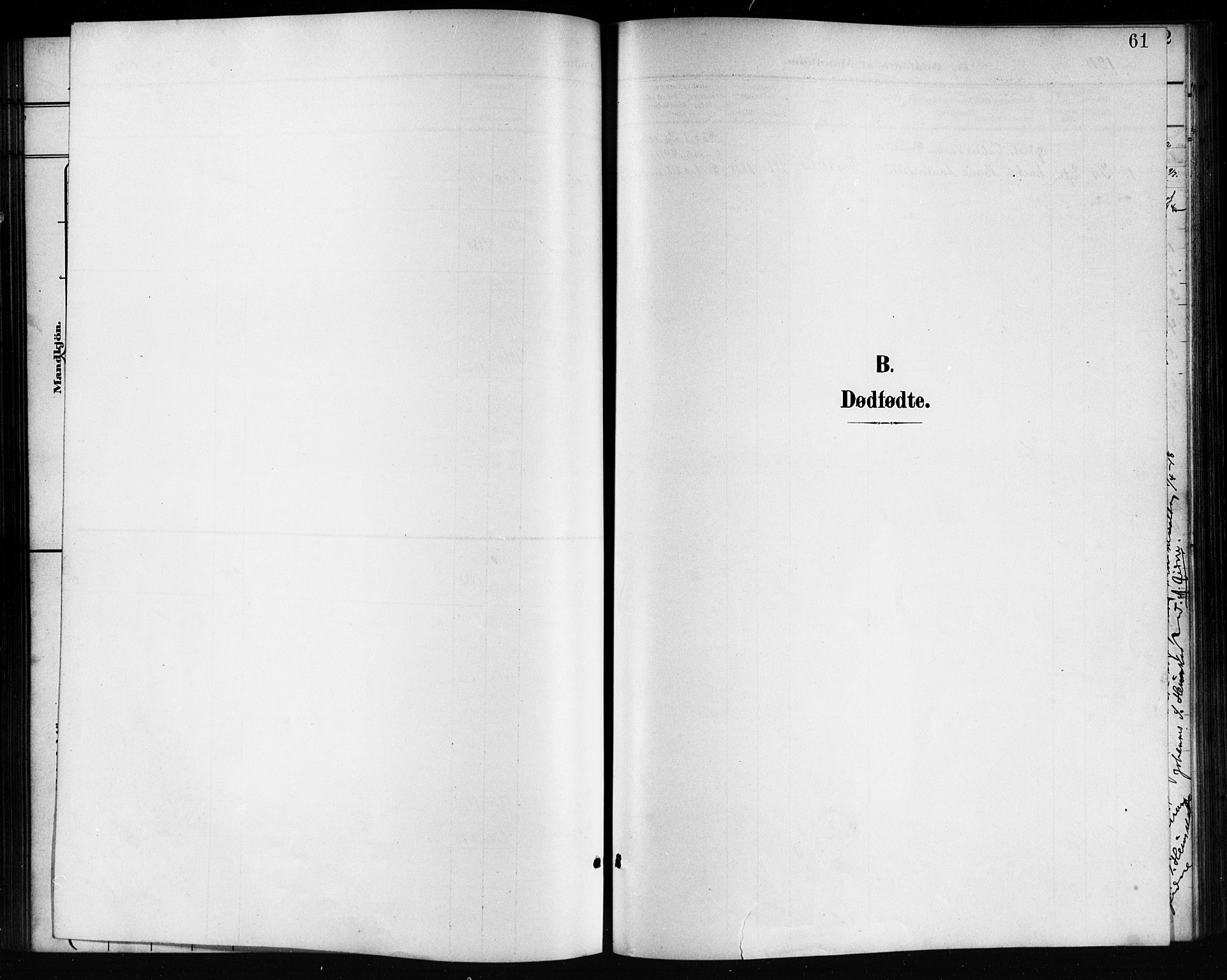 Nord-Audnedal sokneprestkontor, SAK/1111-0032/F/Fb/Fba/L0004: Parish register (copy) no. B 4, 1901-1917, p. 61