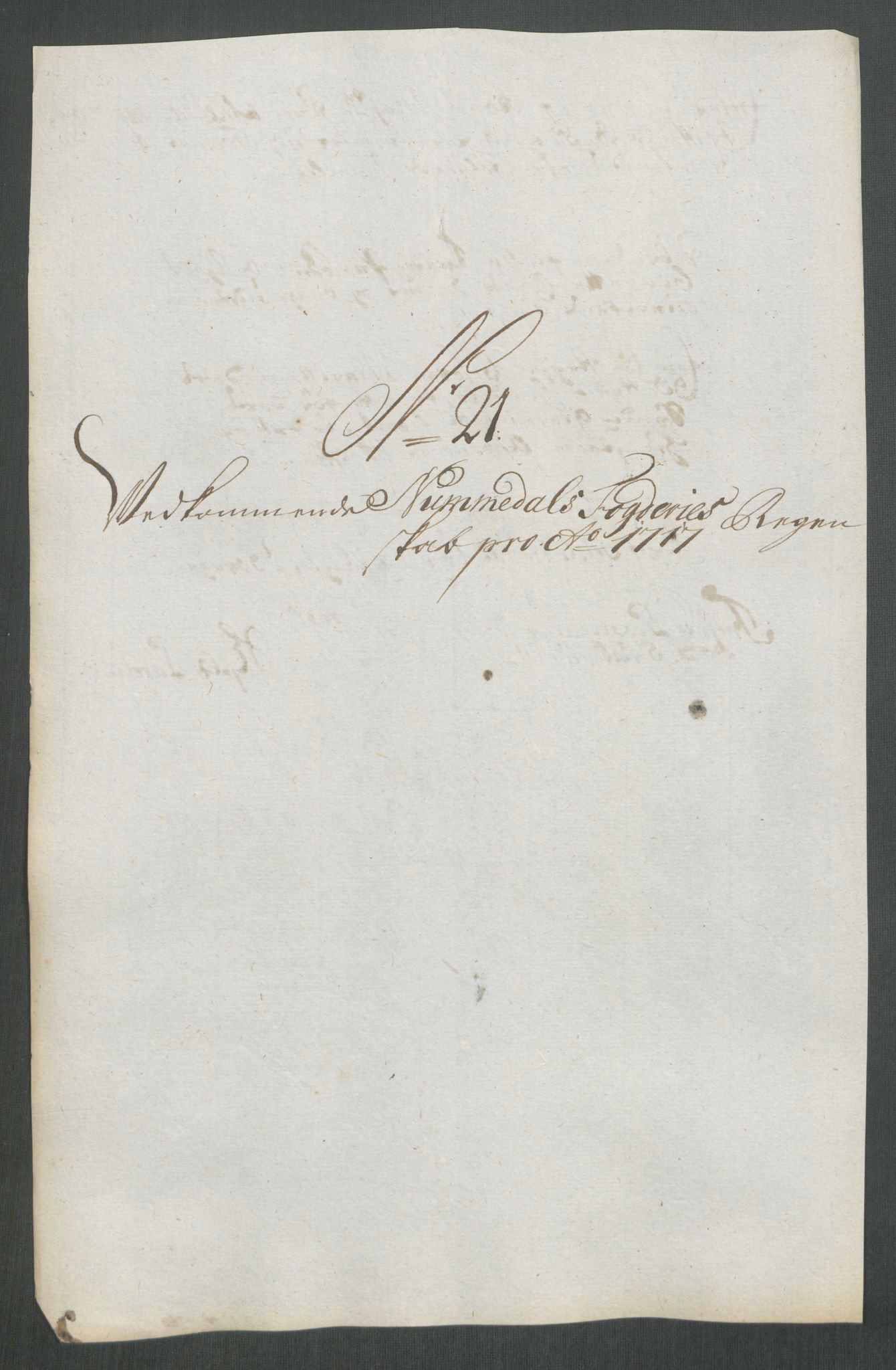 Rentekammeret inntil 1814, Reviderte regnskaper, Fogderegnskap, AV/RA-EA-4092/R64/L4438: Fogderegnskap Namdal, 1717, p. 176