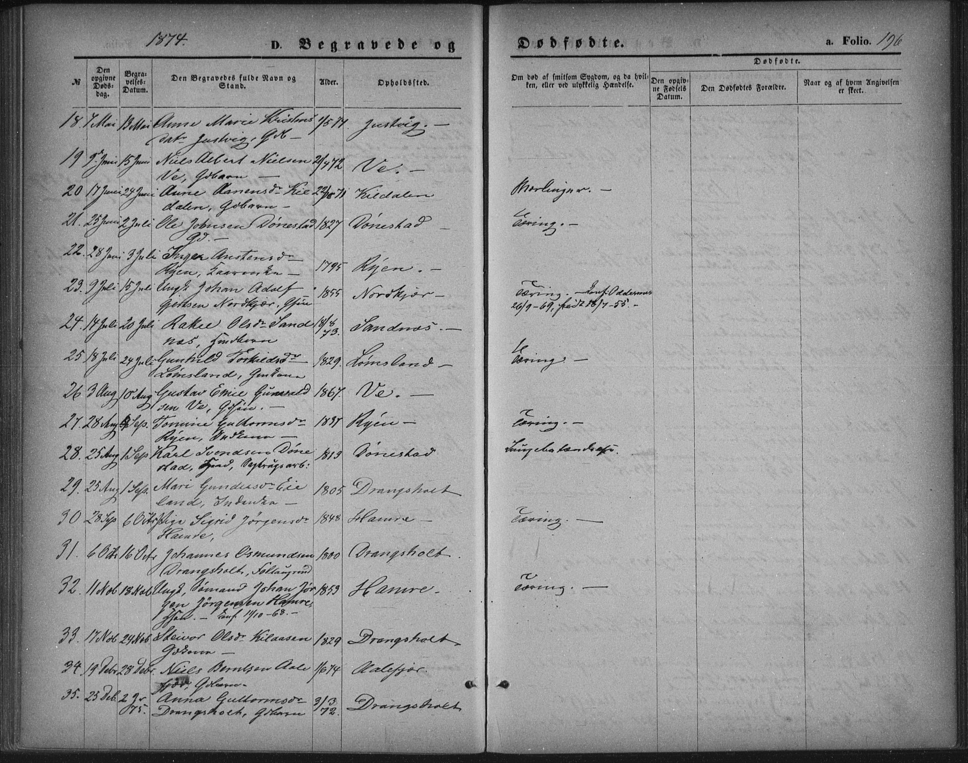 Tveit sokneprestkontor, AV/SAK-1111-0043/F/Fa/L0006: Parish register (official) no. A 6, 1872-1886, p. 196