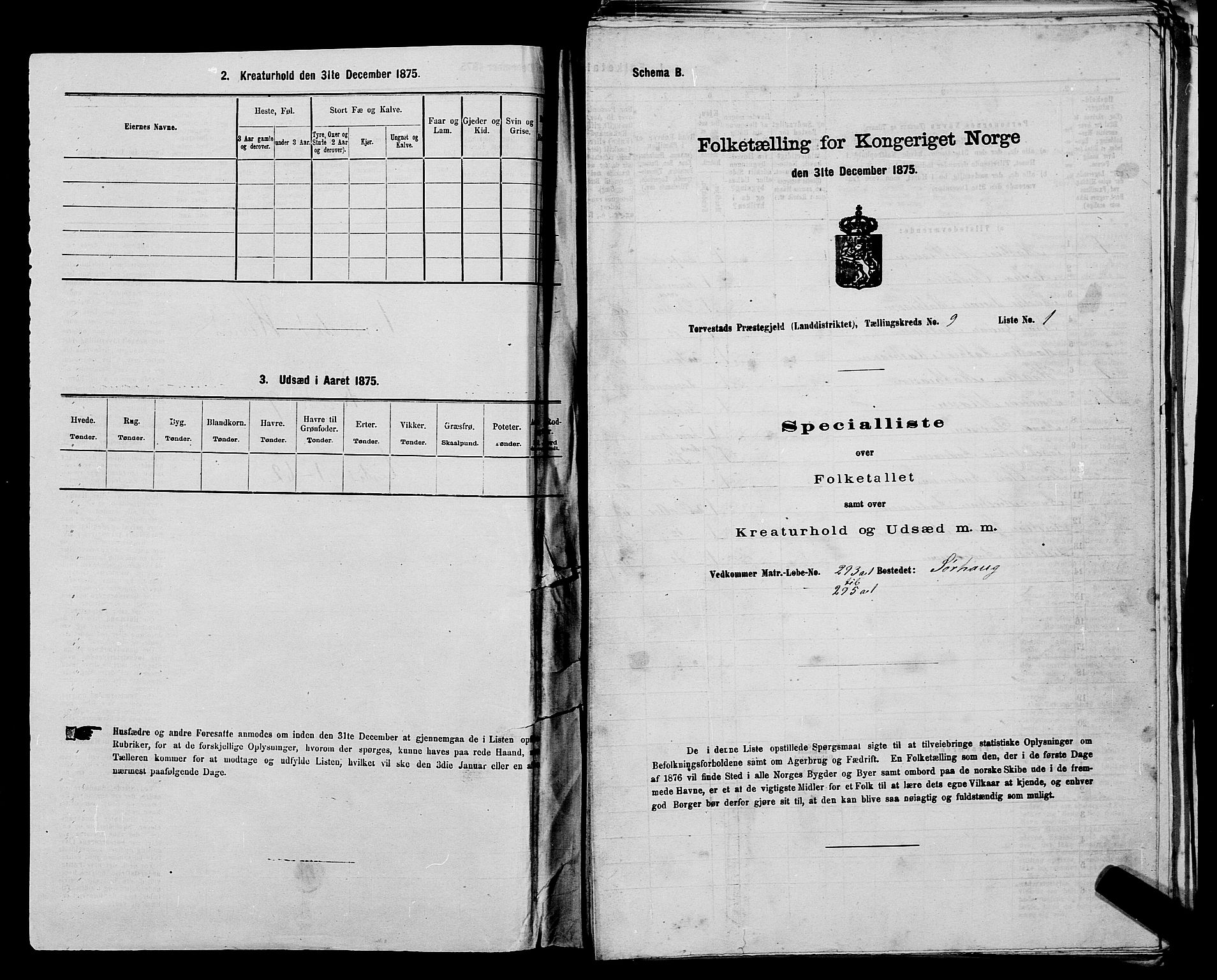 SAST, 1875 census for 1152L Torvastad/Torvastad, Skåre og Utsira, 1875, p. 1115