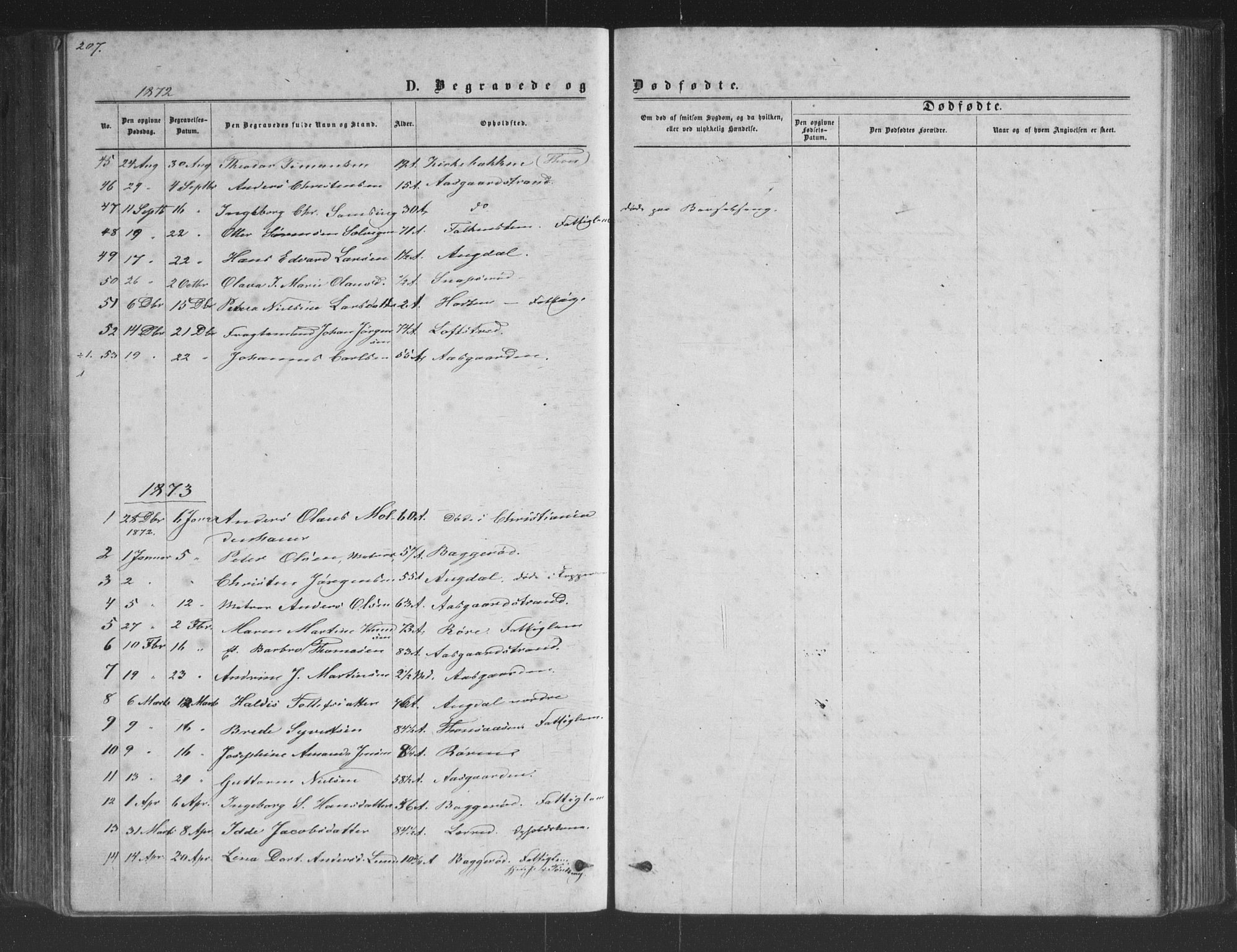 Borre kirkebøker, AV/SAKO-A-338/G/Ga/L0003: Parish register (copy) no. I 3, 1871-1892, p. 207