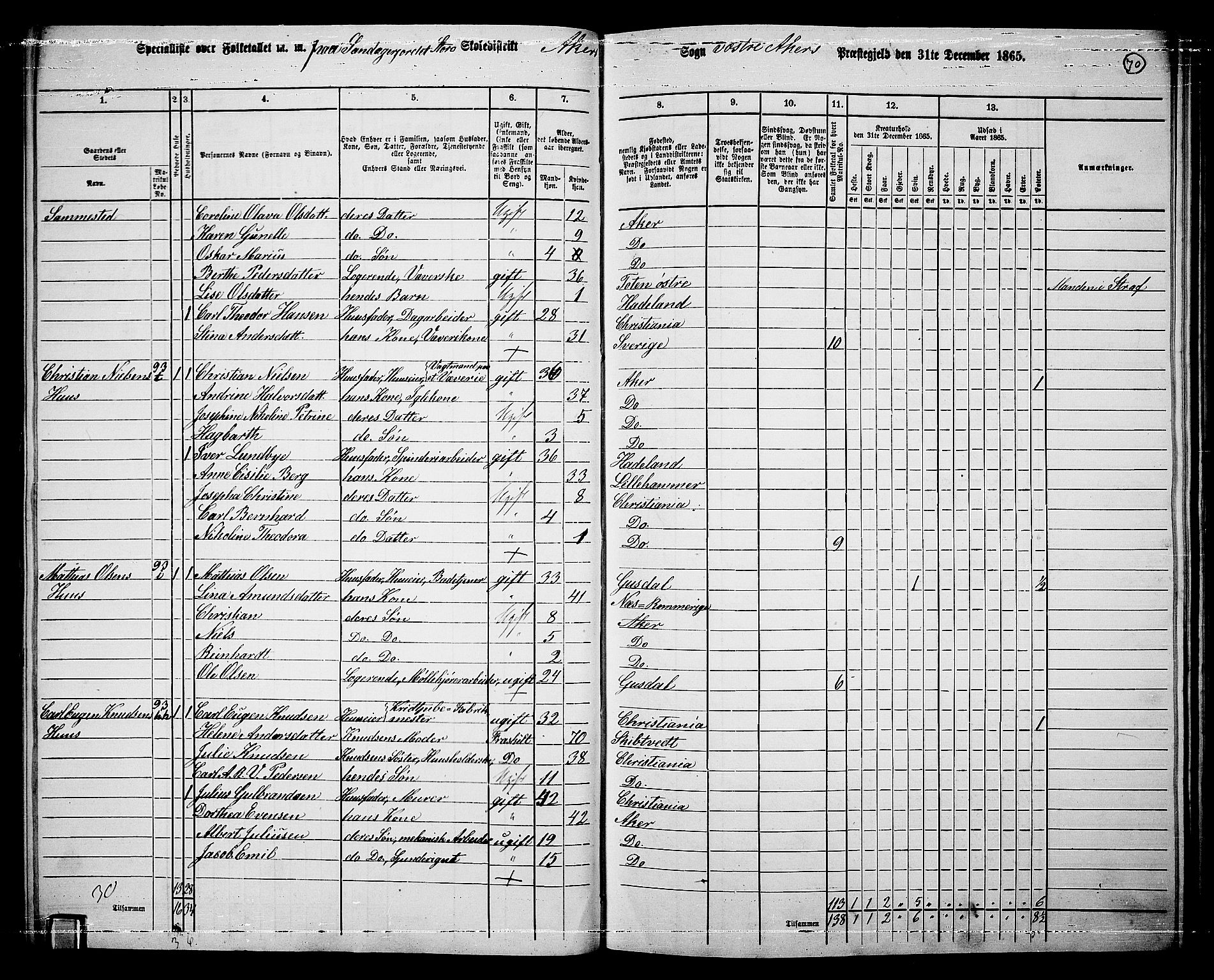 RA, 1865 census for Vestre Aker, 1865, p. 238