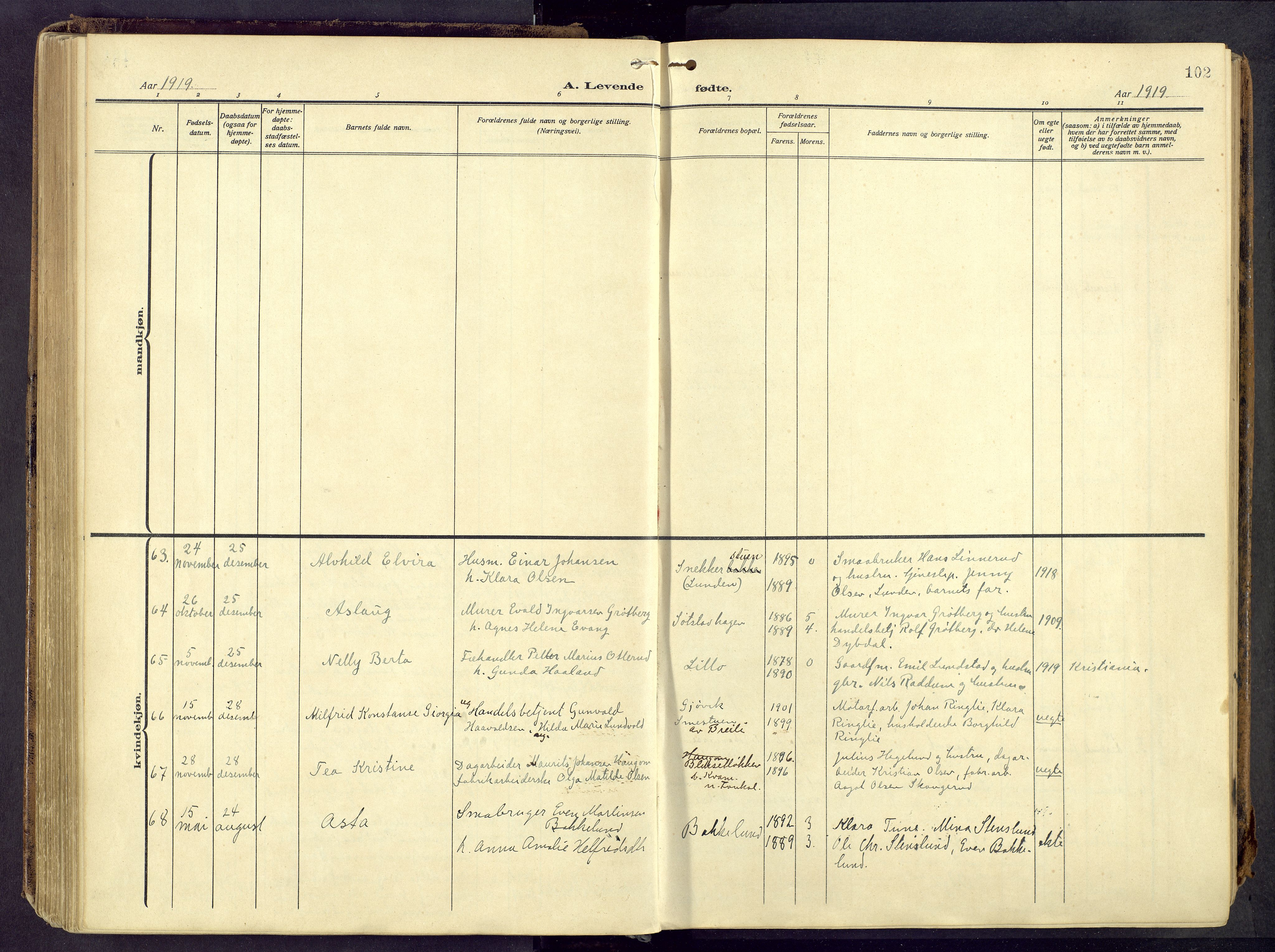 Østre Toten prestekontor, AV/SAH-PREST-104/H/Ha/Haa/L0010: Parish register (official) no. 10, 1910-1920, p. 102