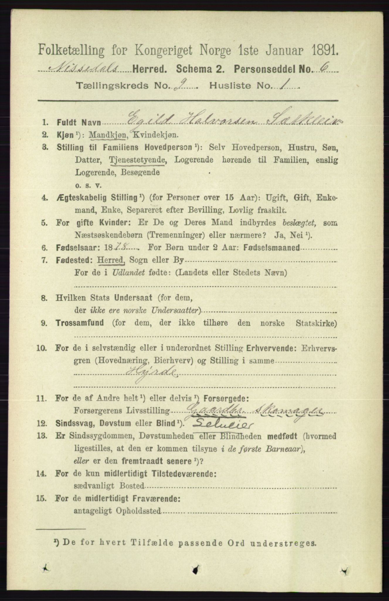 RA, 1891 census for 0830 Nissedal, 1891, p. 1847