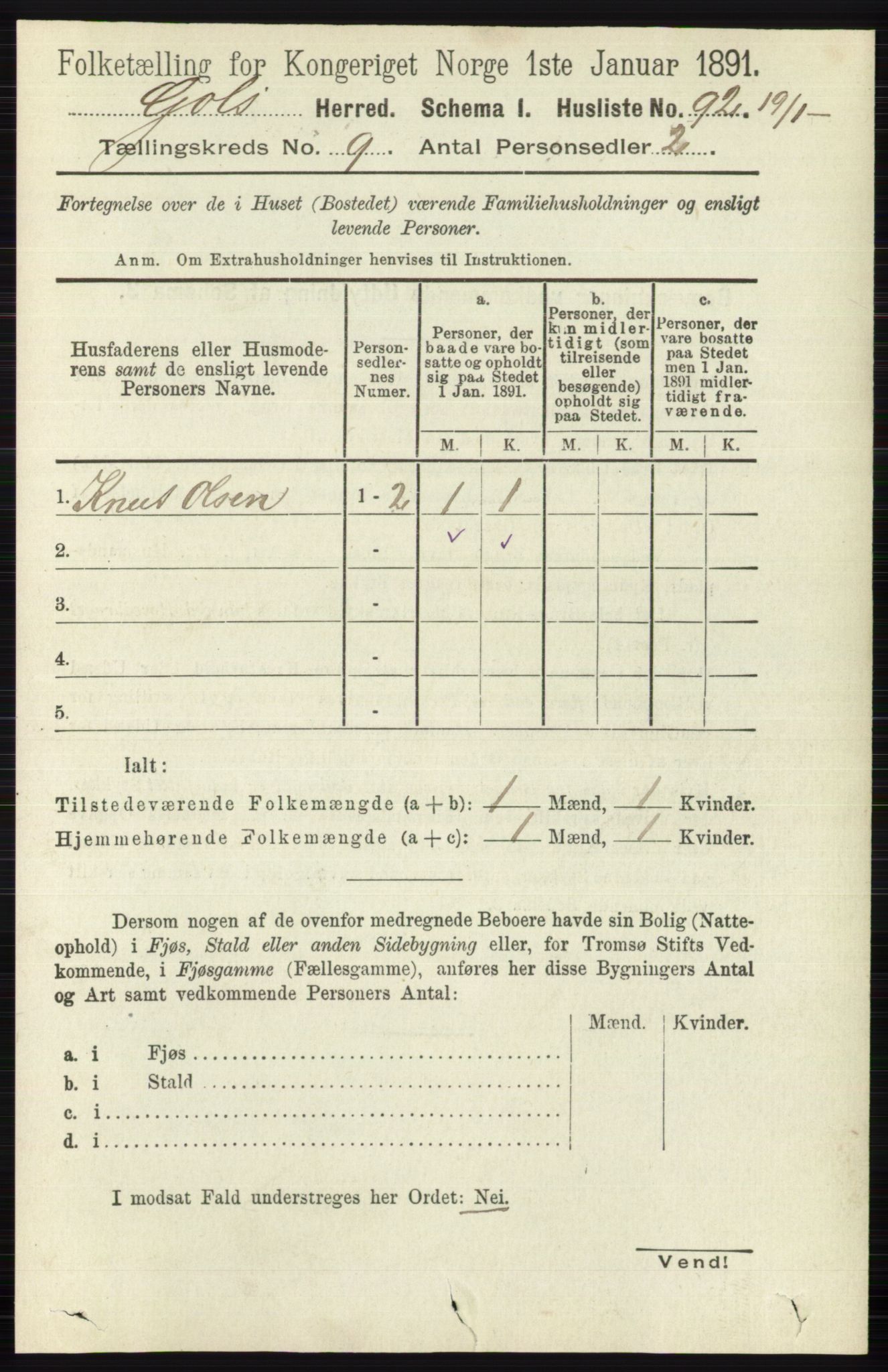 RA, 1891 census for 0617 Gol og Hemsedal, 1891, p. 3391