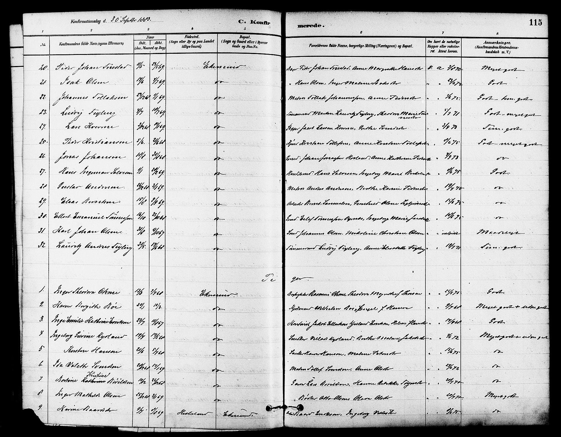 Eigersund sokneprestkontor, AV/SAST-A-101807/S08/L0015: Parish register (official) no. A 15, 1879-1892, p. 115