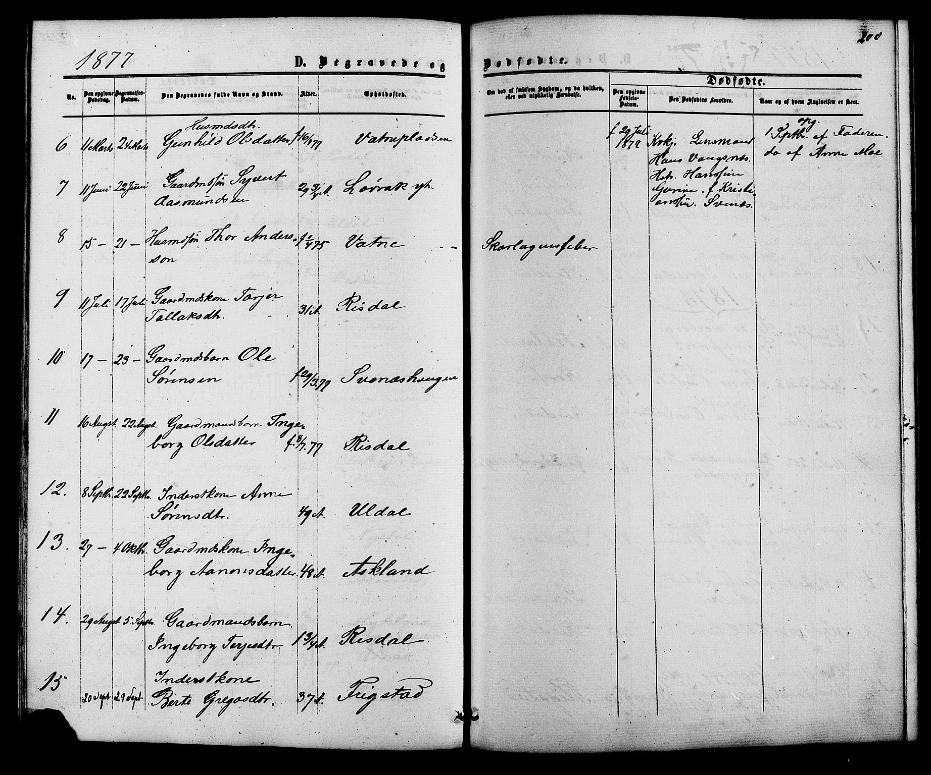 Herefoss sokneprestkontor, AV/SAK-1111-0019/F/Fb/Fbc/L0002: Parish register (copy) no. B 2, 1867-1886, p. 200